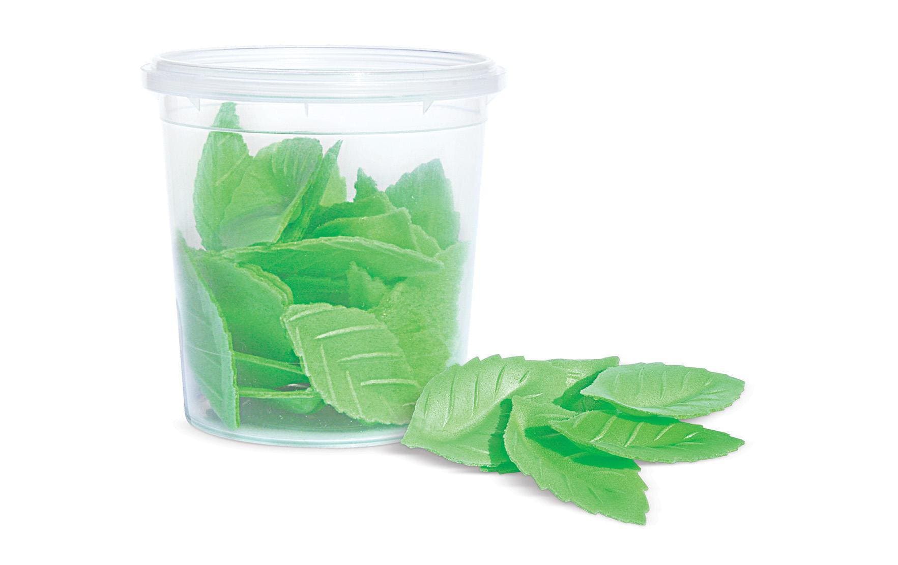 ScrapCooking Zuckerdekore Blätter 24 Stück ScrapCooking Zuckerdekore Blätter 24 Stück