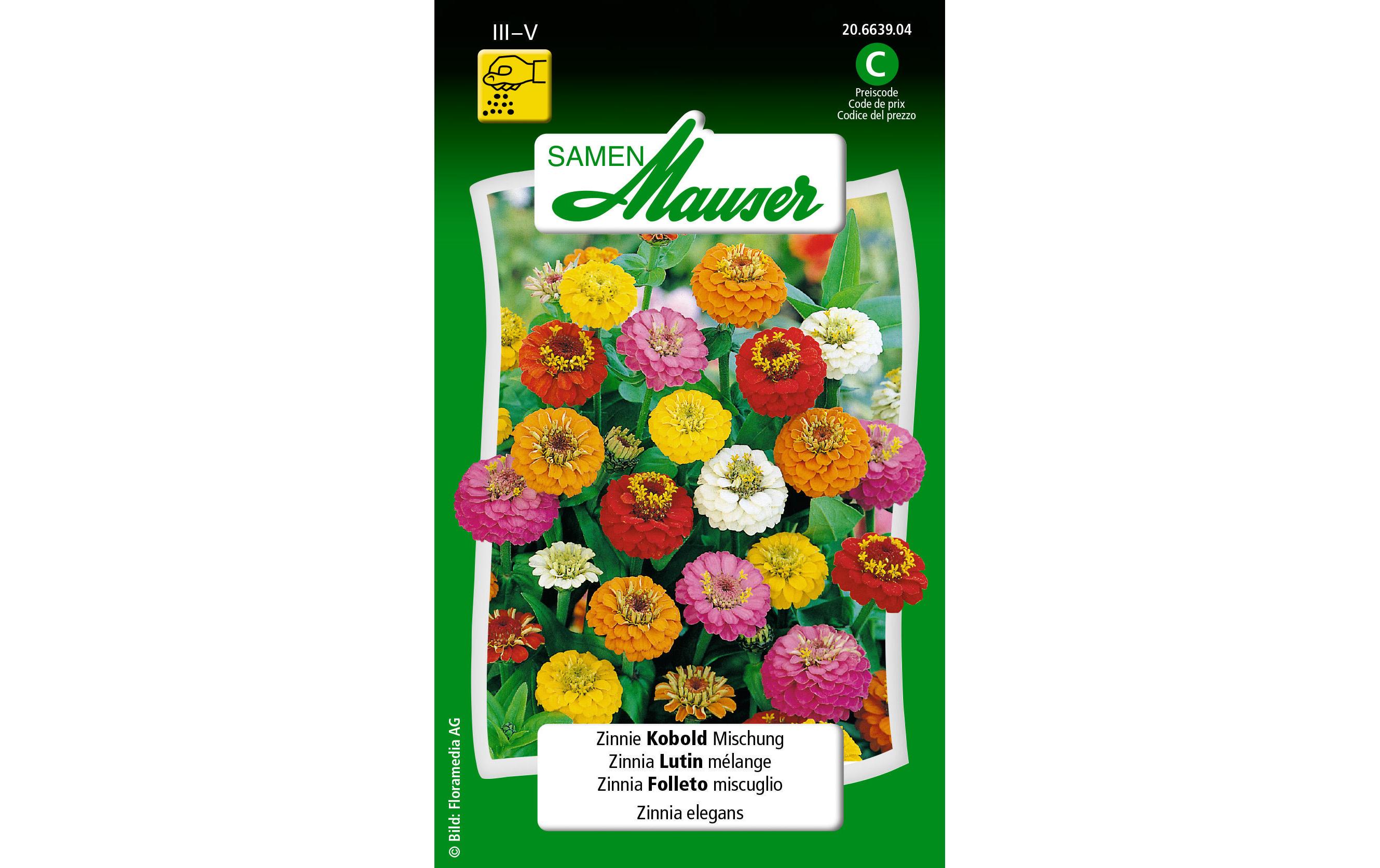 Samen Mauser Saatgut Zinnie Kobold Mischung