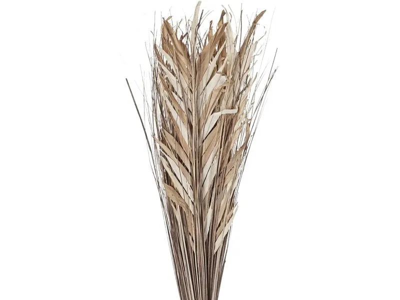 EGLO Trockenblume Braun 17 x 60 x 100 cm