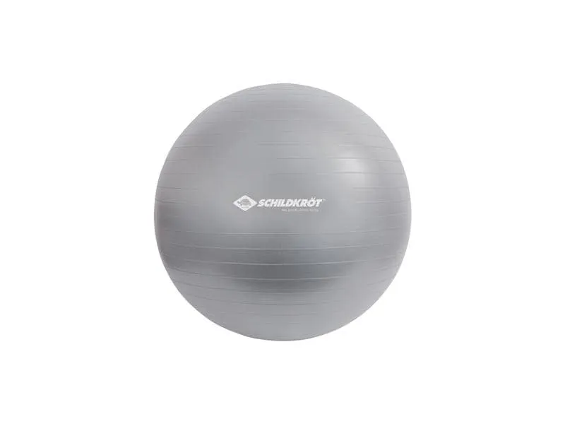 Schildkröt Fitness Gymnastikball 65 cm Schildkröt Fitness Gymnastikball 65 cm