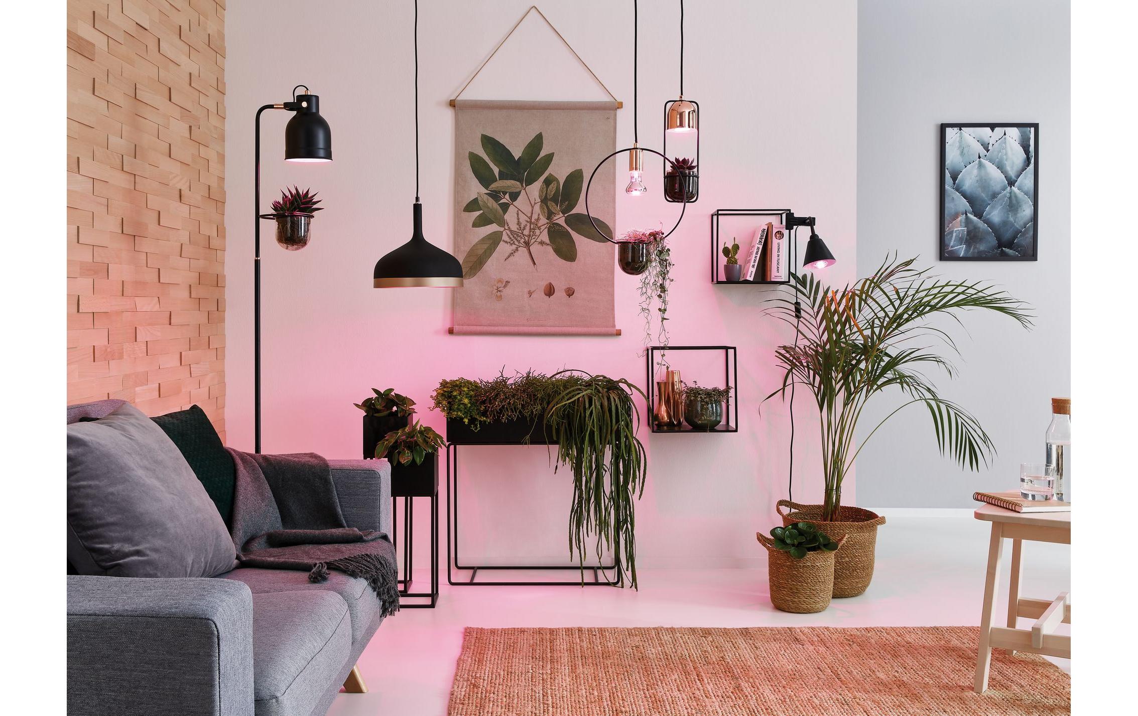 Paulmann Leuchtmittel Grow Green PAR38 E27, 6.5 W