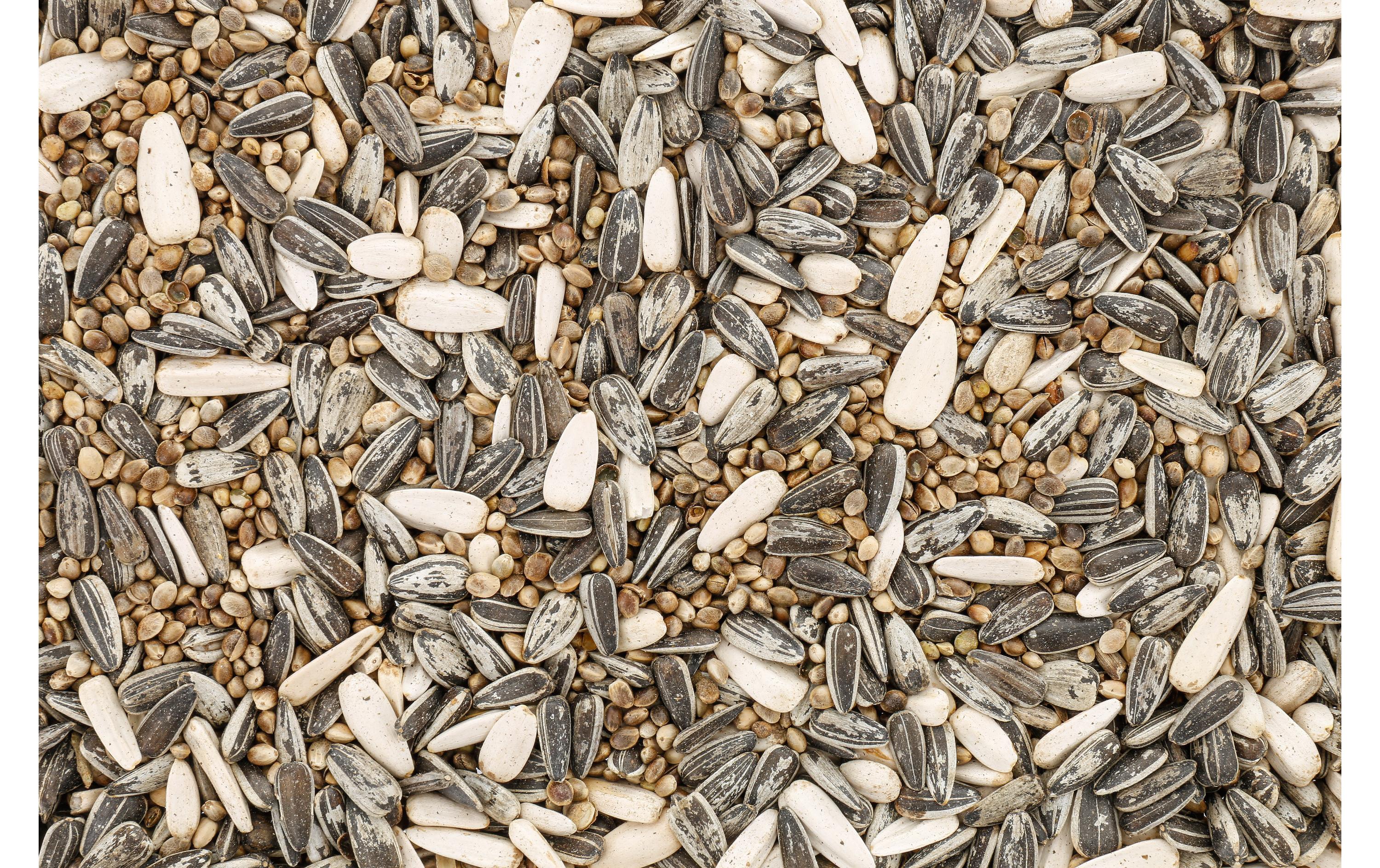 Eric Schweizer Vogelfutter Wildvogelmischung Premium 1 kg Eric Schweizer Vogelfutter Wildvogelmischung Premium 1 kg