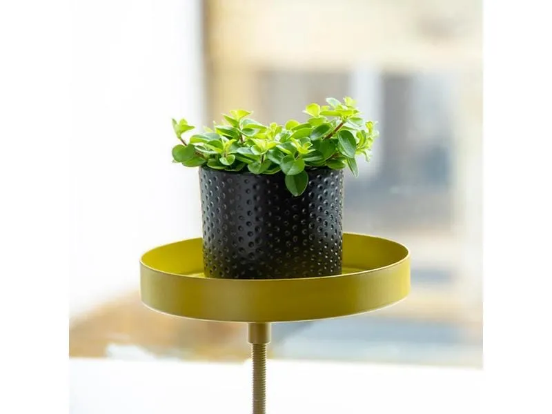 Esschert Design Ablage mit Klemme Stahl, Gold