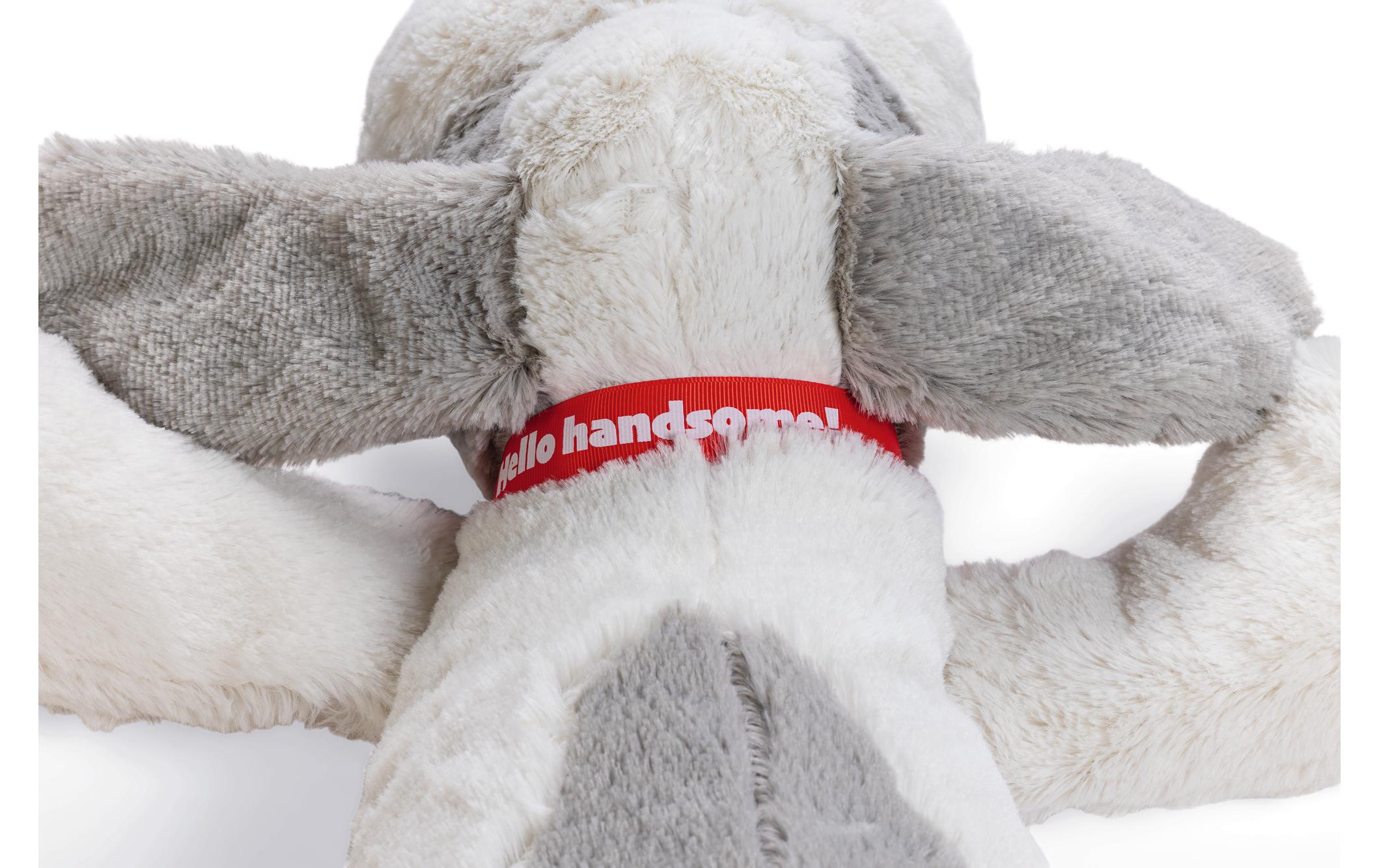 Beeztees Hunde-Spielzeug Hund Ties XL, 48 x 46 x 11 cm