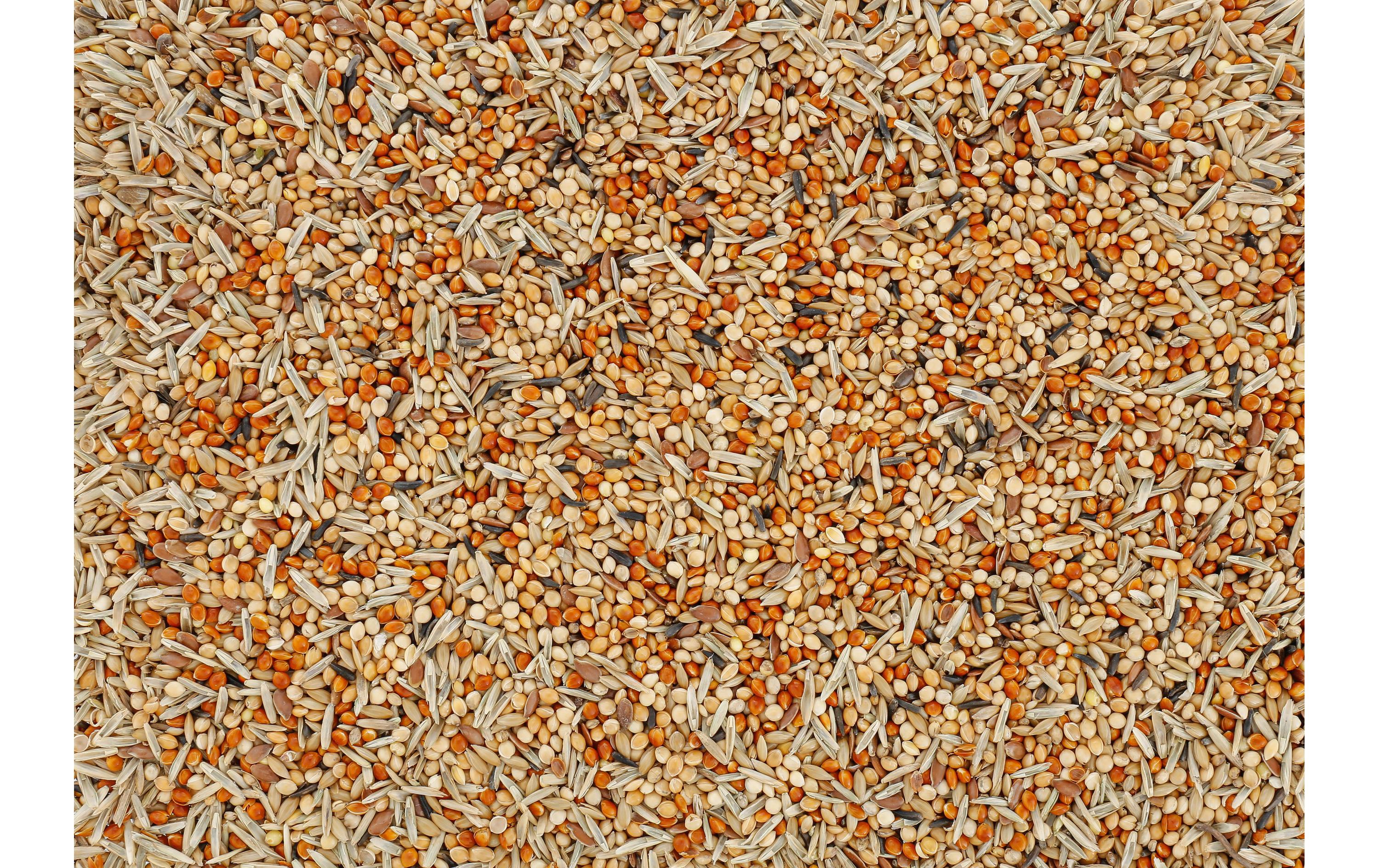 Eric Schweizer Wildtierfutter Summer 2.5 kg