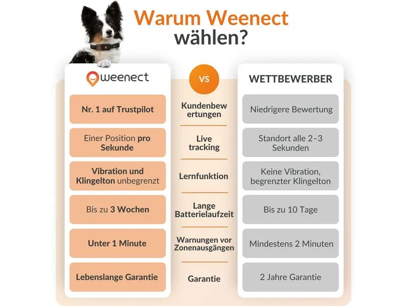 Weenect GPS-Tracker für Hunde XT ohne Halsband Weenect GPS-Tracker für Hunde XT ohne Halsband