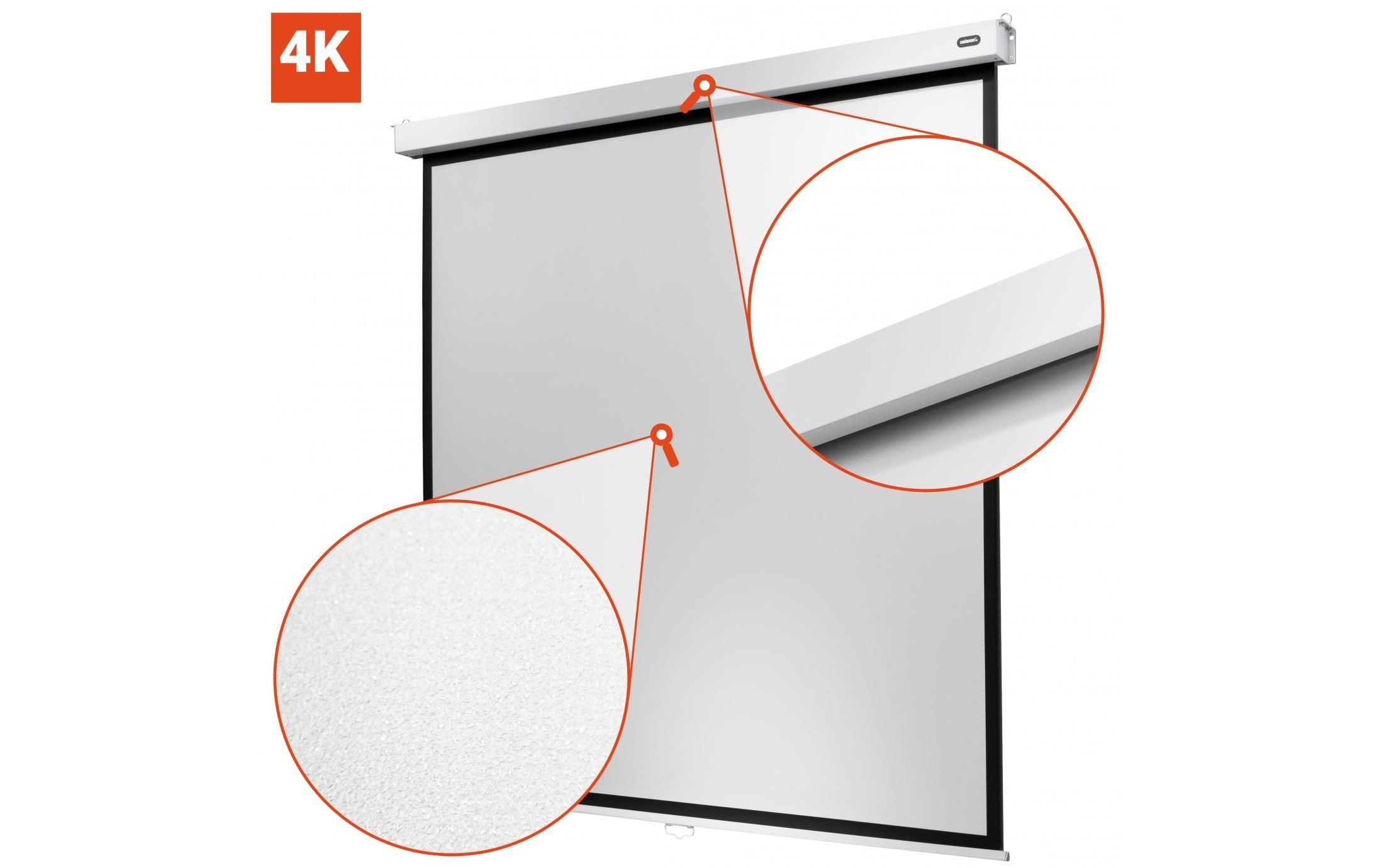 Celexon Rollo-Leinwand Professional Plus 300x225 cm 4:3
