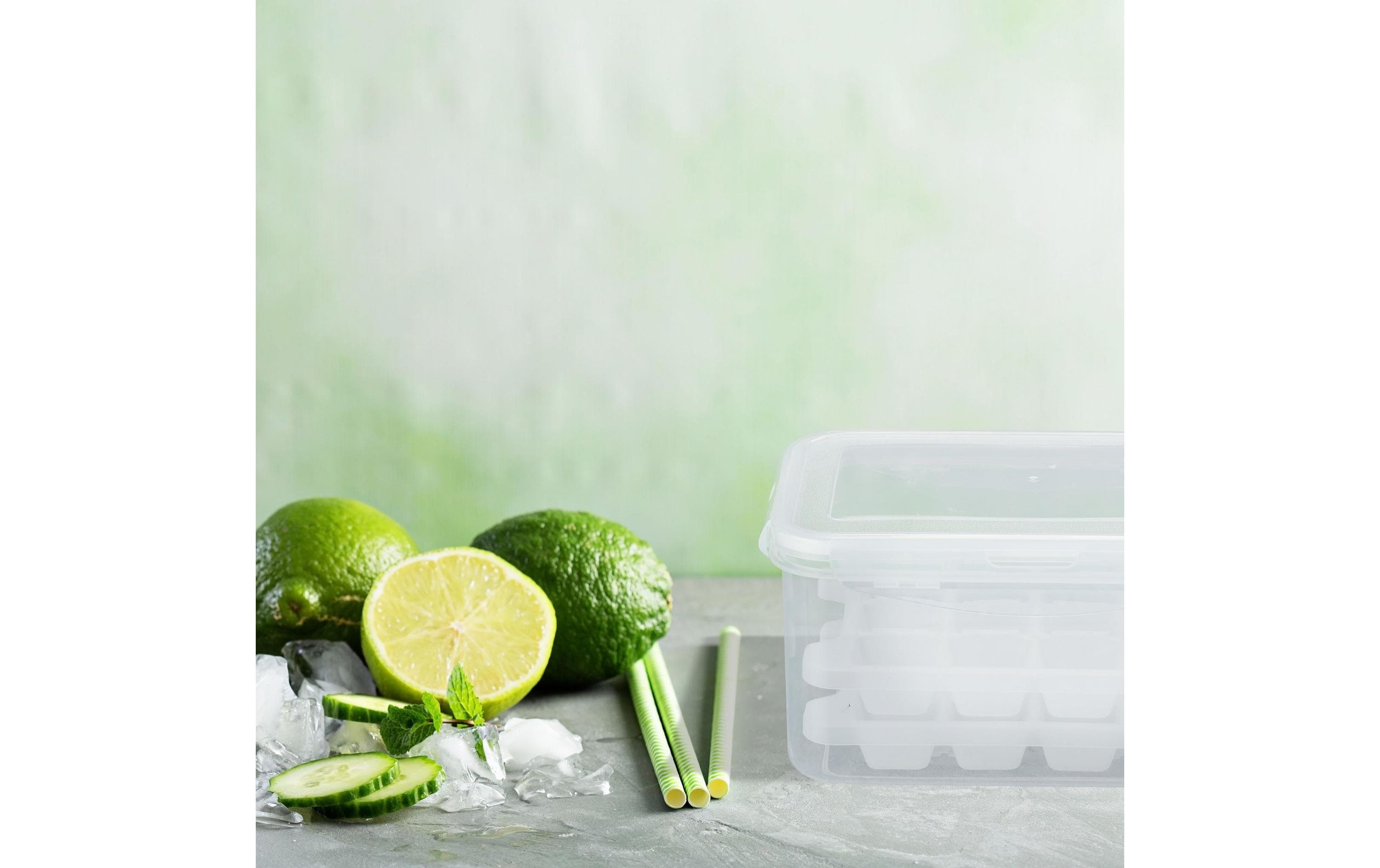 relaxdays Eiswürfelform Transparent/Weiss