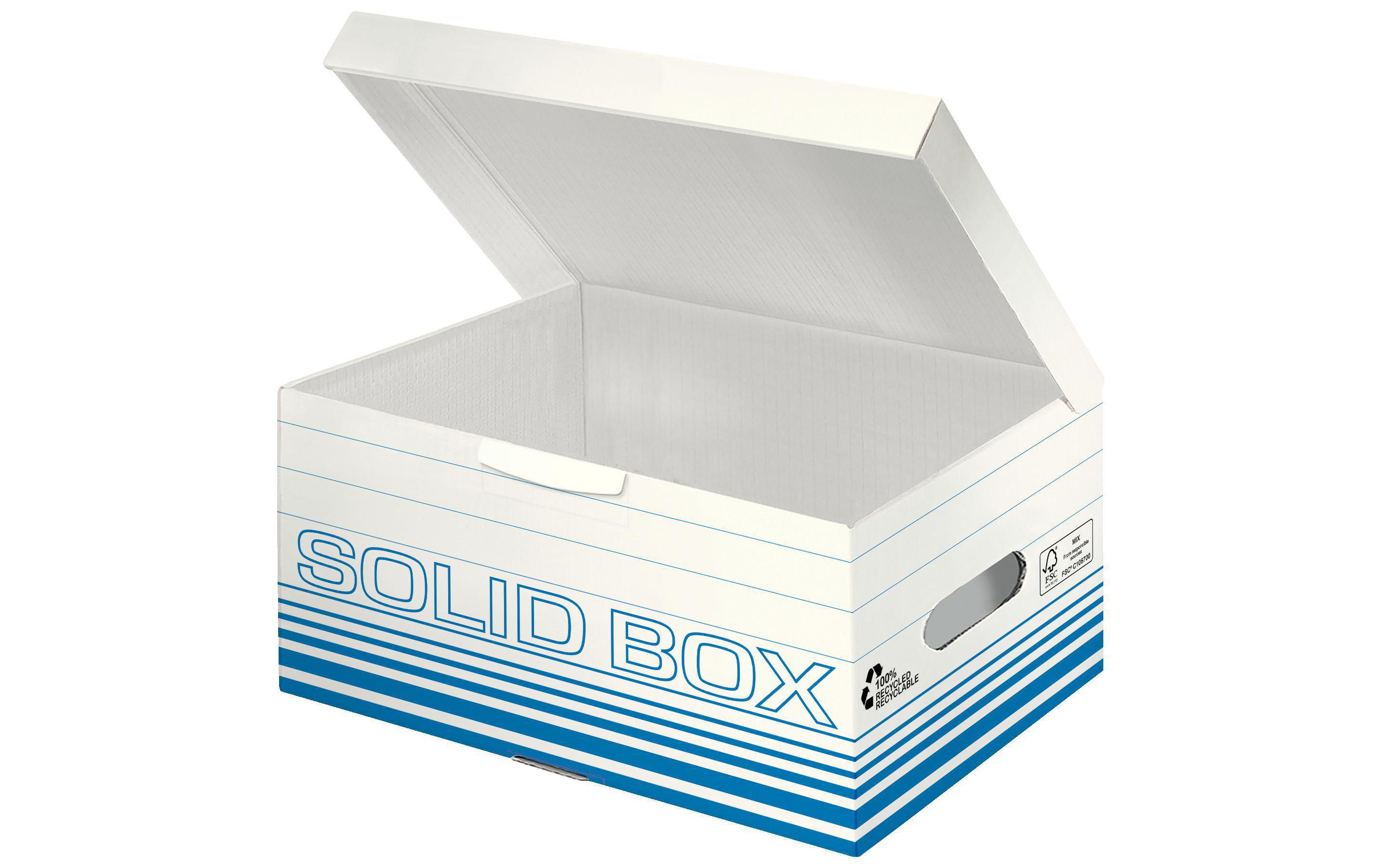 Leitz Archivschachtel Solid Box S Klappdeckel, 10 Stück, Blau