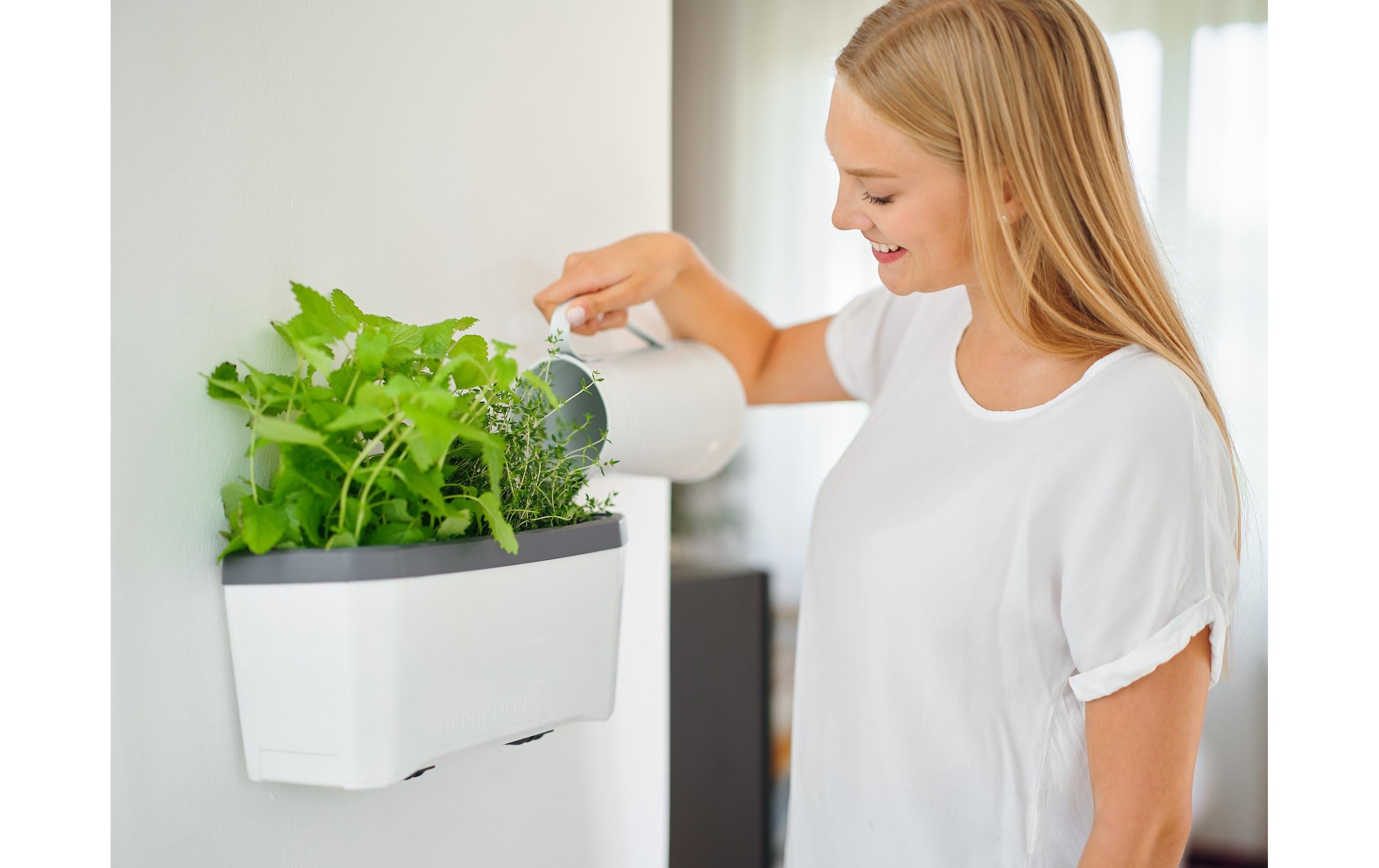 Gusta Garden Wandhalterung HARRY HERBS, Schwarz