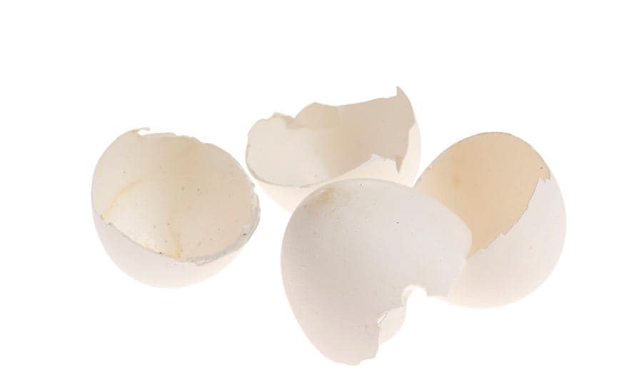 Opiflor Osterei-Schale 200, Natur-Weiss