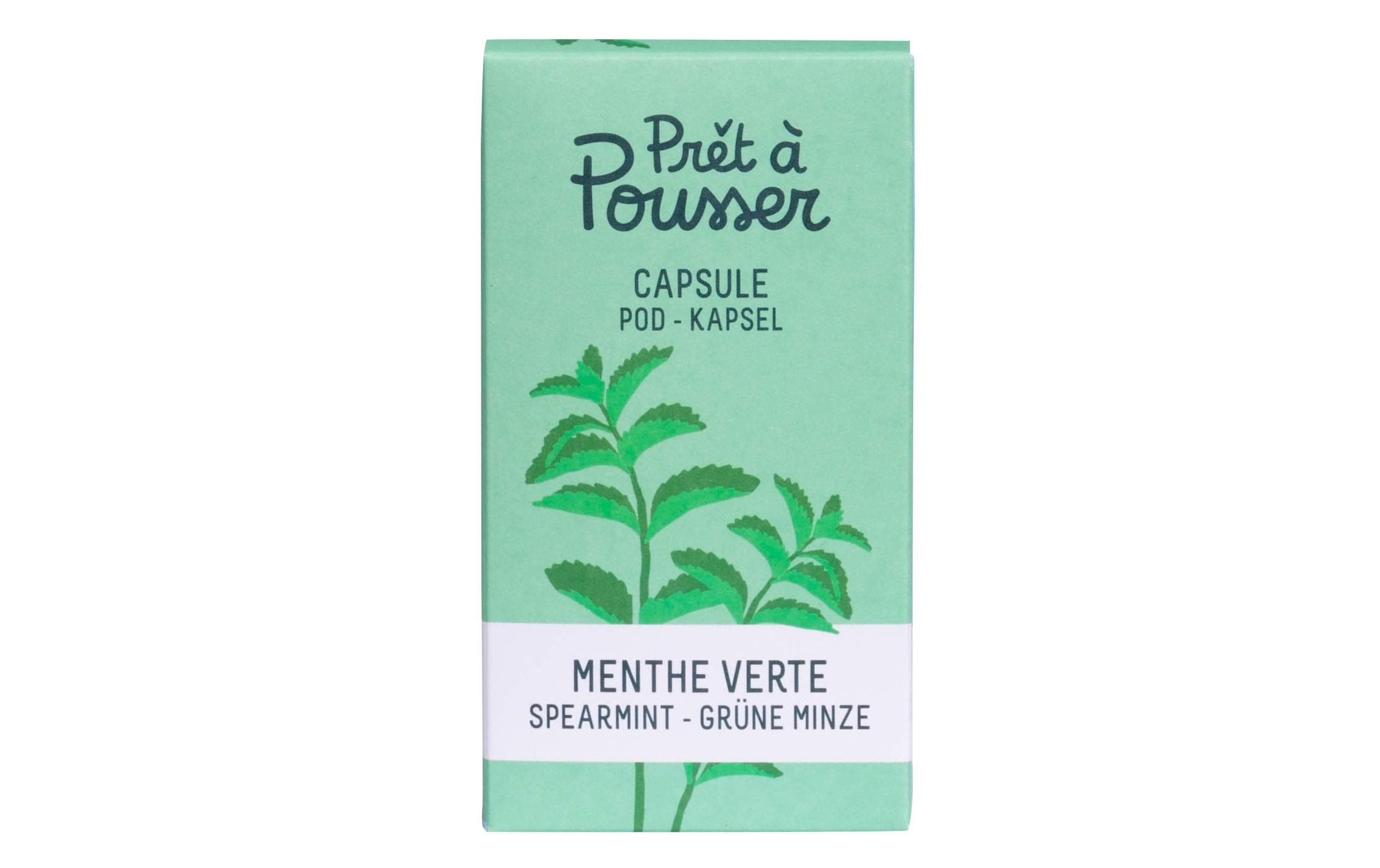 Prêt à Pousser Samen Grüne Minze Prêt à Pousser Samen Grüne Minze