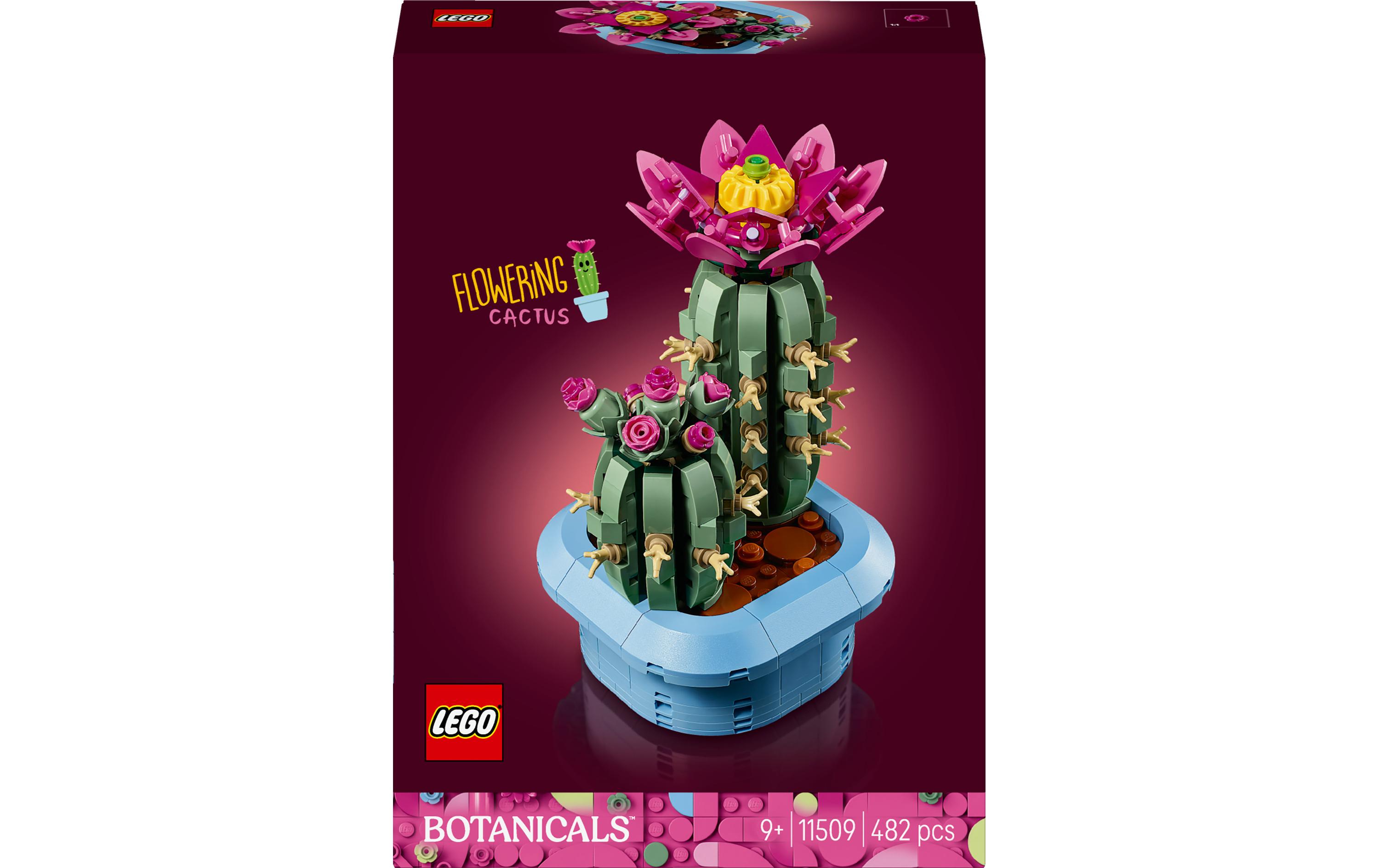 LEGO® Botanicals Blühender Kaktus 11509