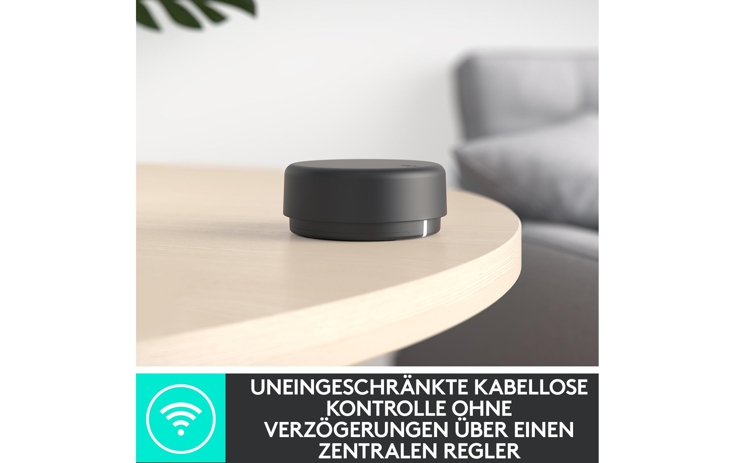 Logitech PC-Lautsprecher Z407