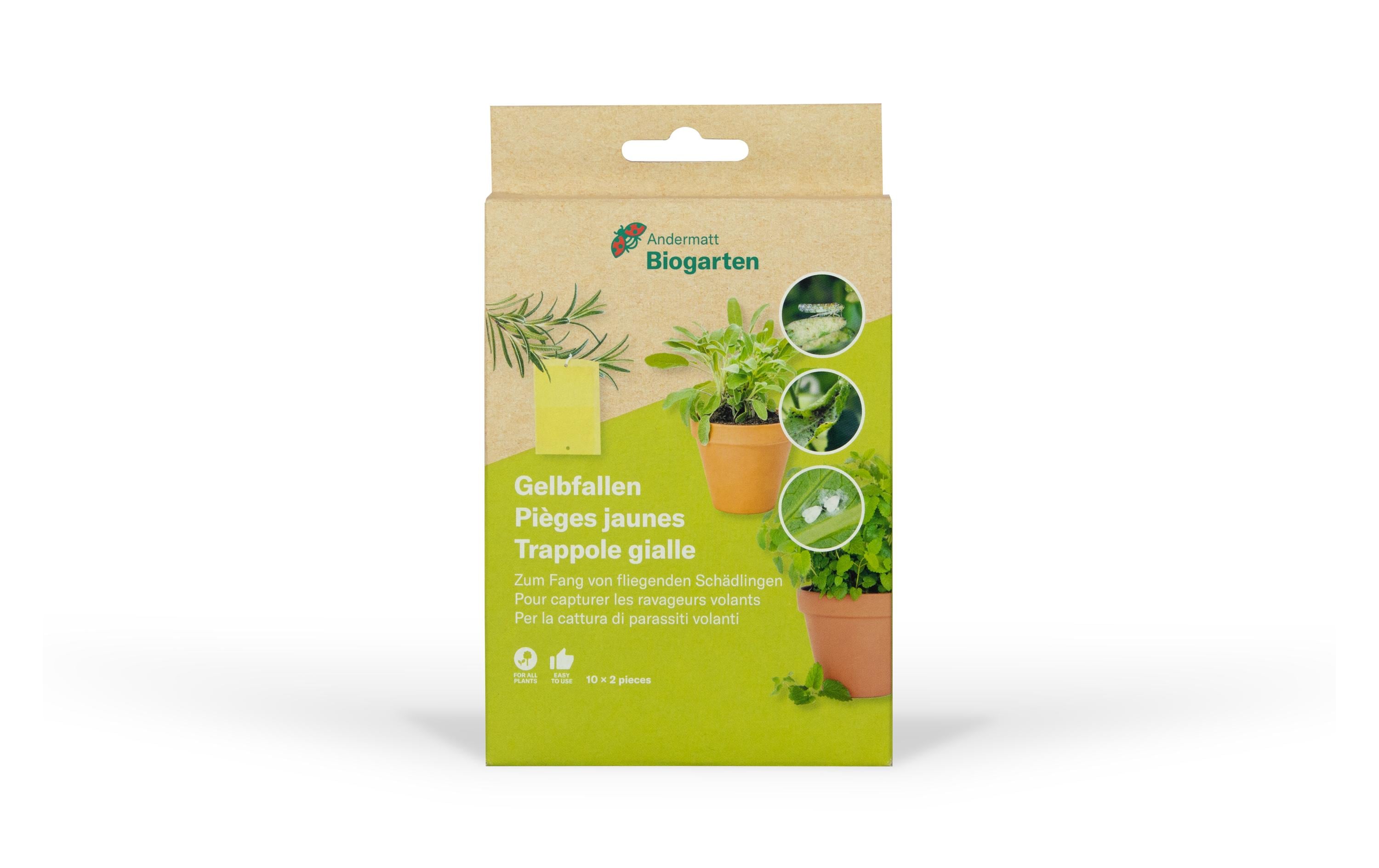 Andermatt Biogarten Gelbfallen, 10 Stück