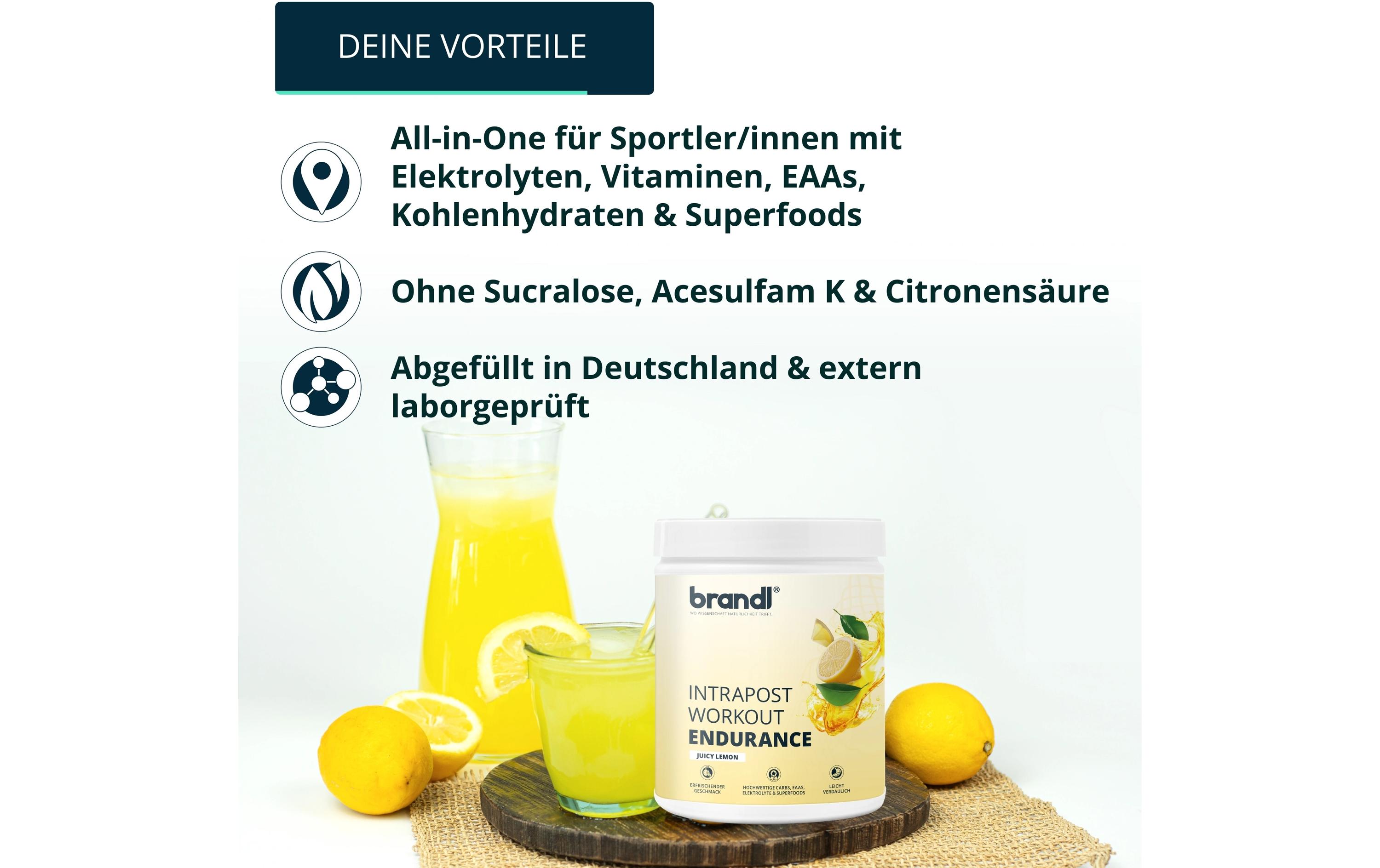 Brandl-Nutrition Ausdauer-Drink Isotonisches Getränk Zitrone, 600 g