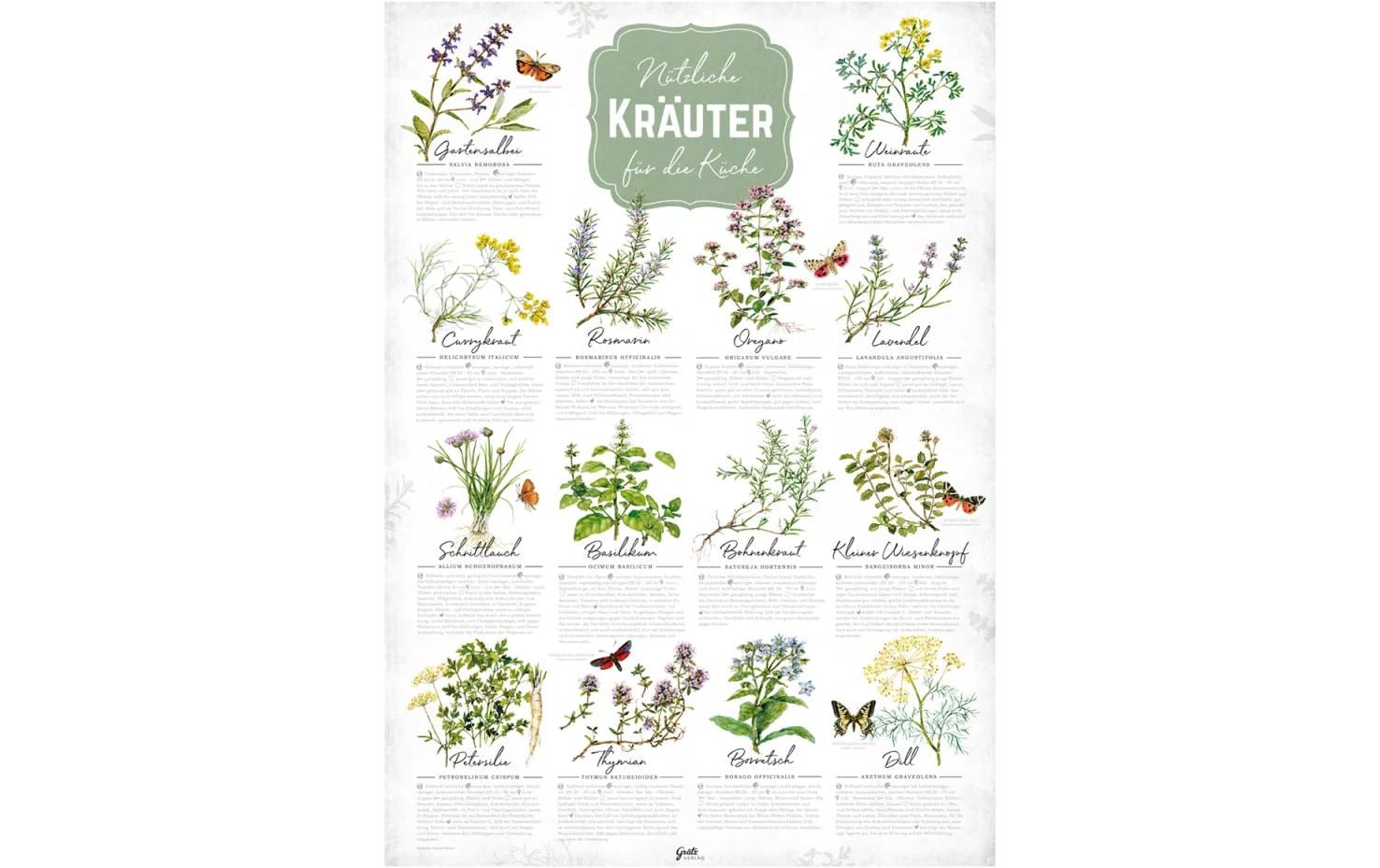 Grätz Poster Grätz Poster Kräuter A2 gerollt