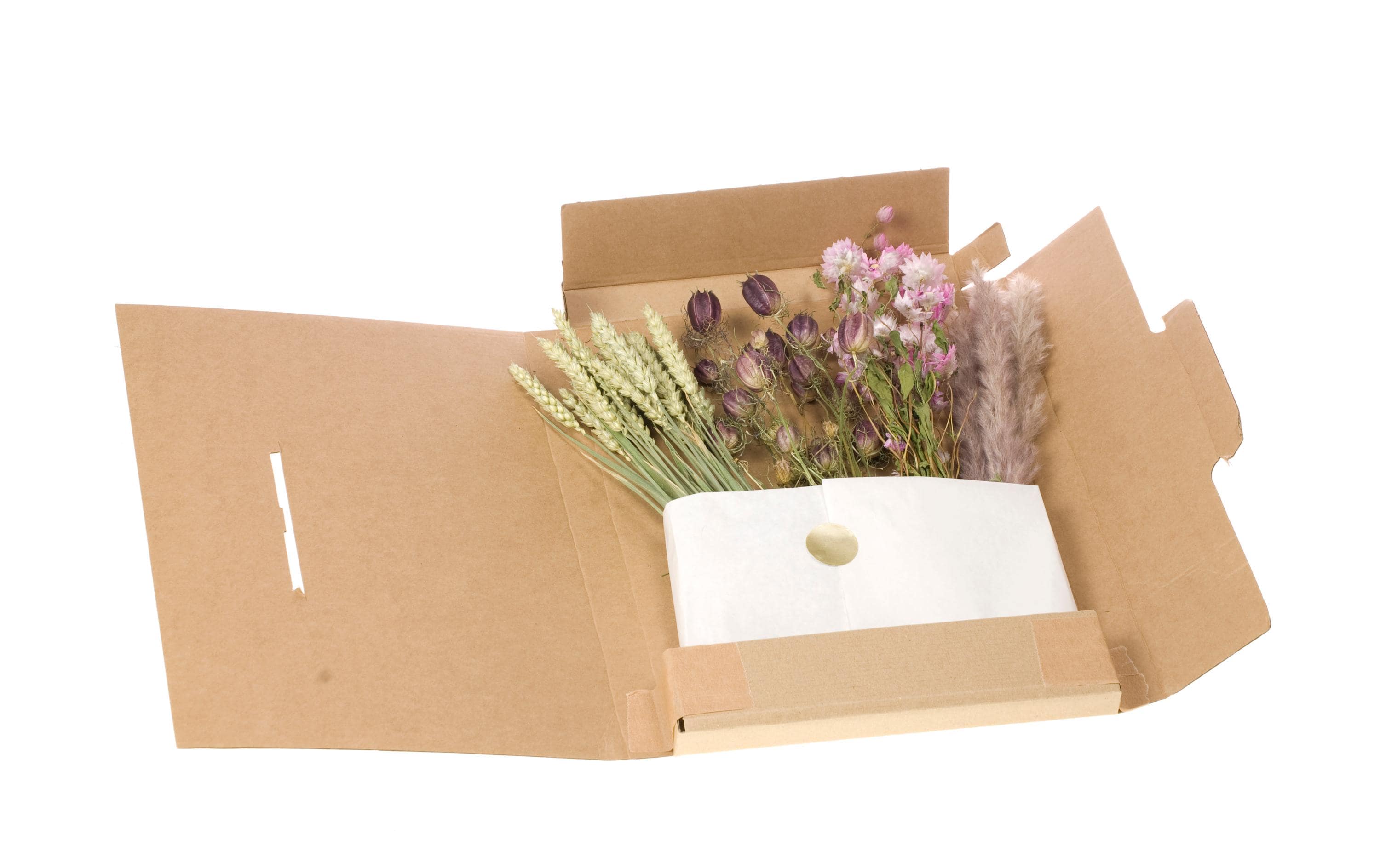 Anjel Trockenblumen in Kartonbox Rosa/Grün