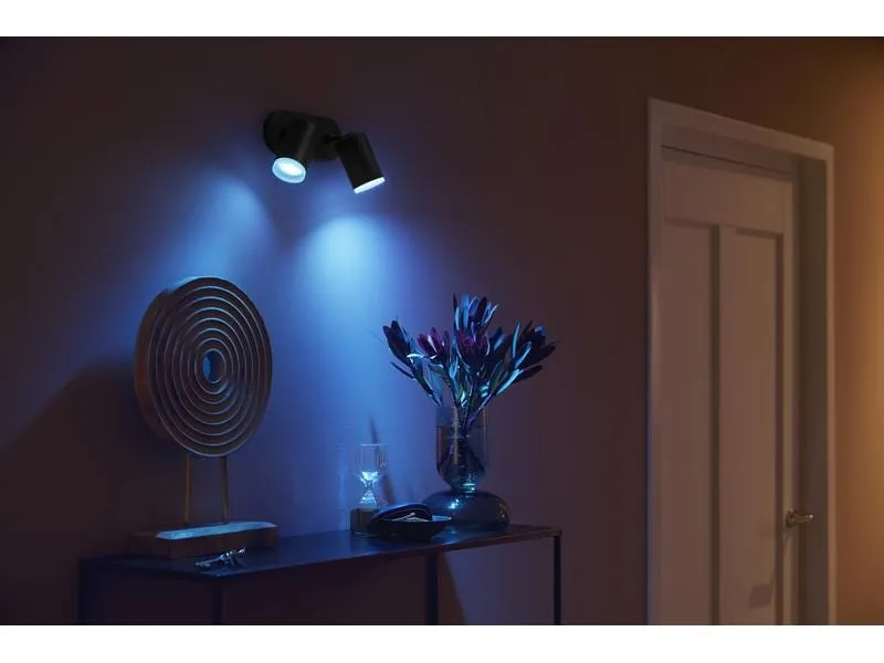 Philips Hue White & Color Ambiance Fugato 2er-Spot Schwarz