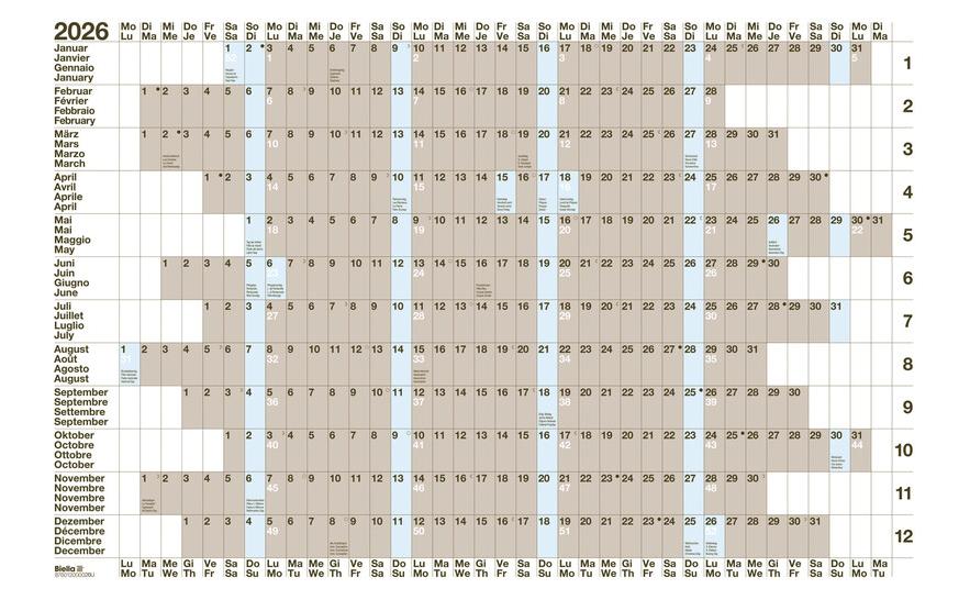 Biella Kalender Jahres-Wandplaner 69.5 x 46 cm