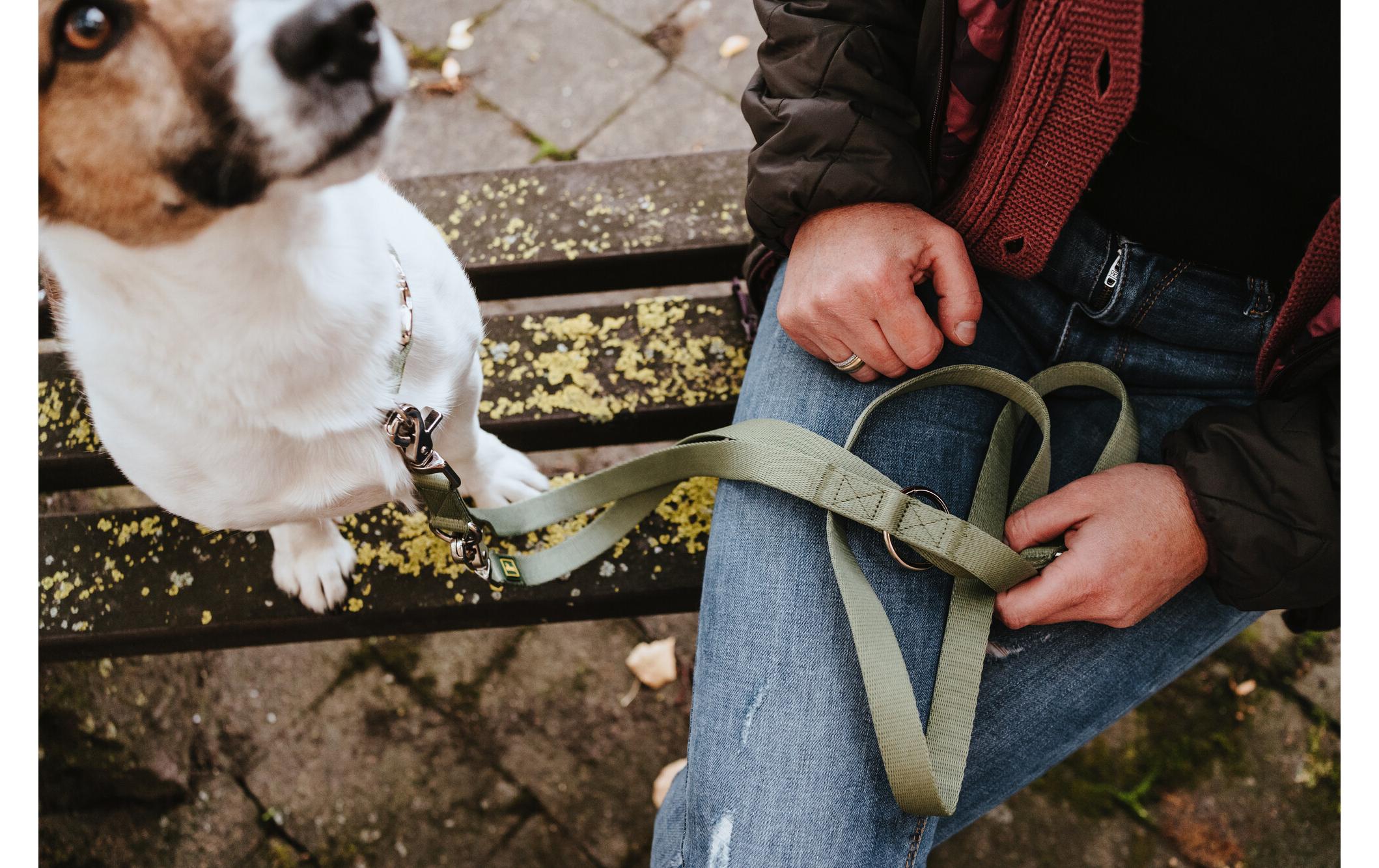 Hunter Verstellbare Führleine Inari, 20/200, Lindgrün