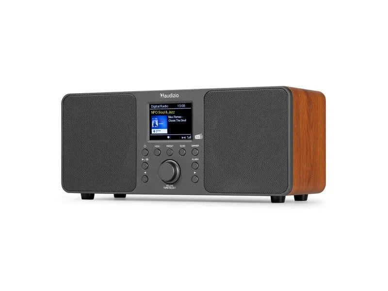 Audizio Genua-DG DAB+/FM Radio mit BT, Stereo, Grau