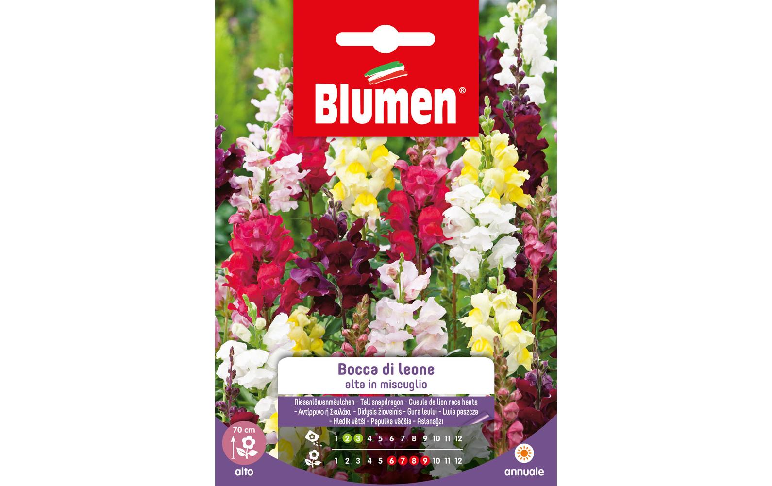 Blumen Saatgut Riesenlöwenmäulchen Mix Blumen Saatgut Riesenlöwenmäulchen Mix