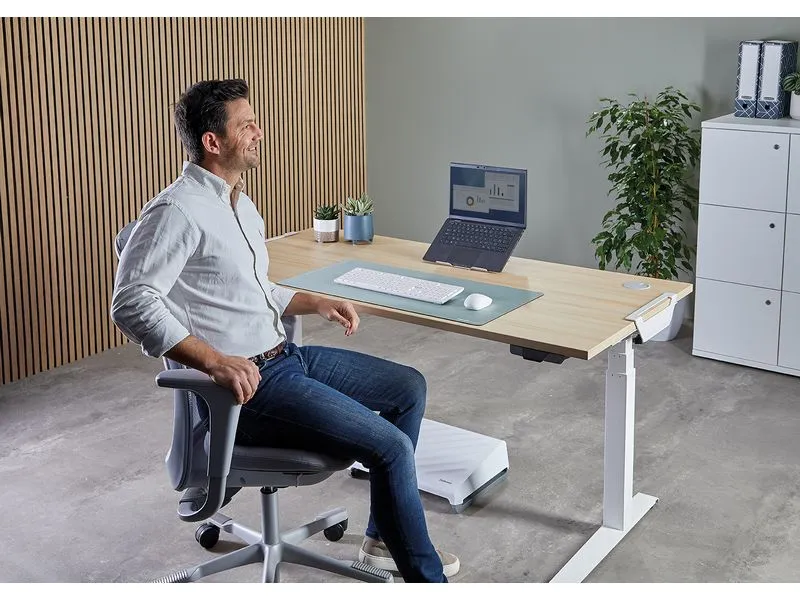 Fellowes Workplace Notebook-Ständer Alumia 15 Silber