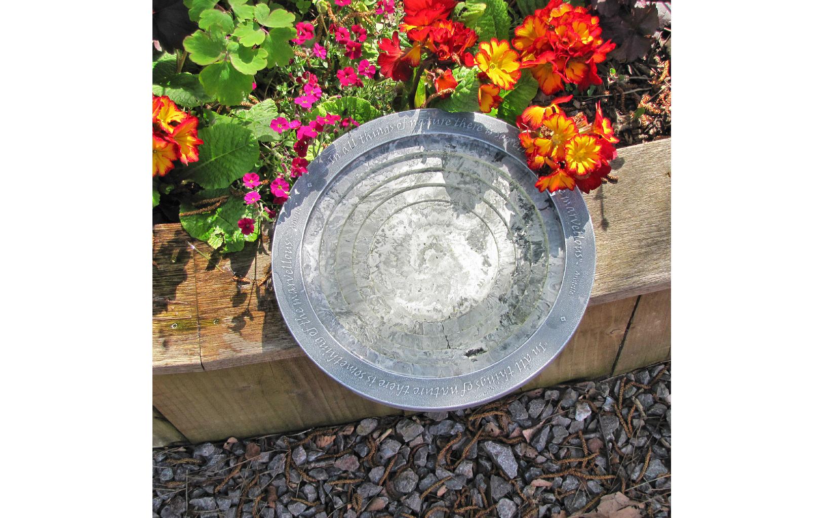 Wildlife World Vogeltränke Oasis 30 x 30 x 5.5 cm