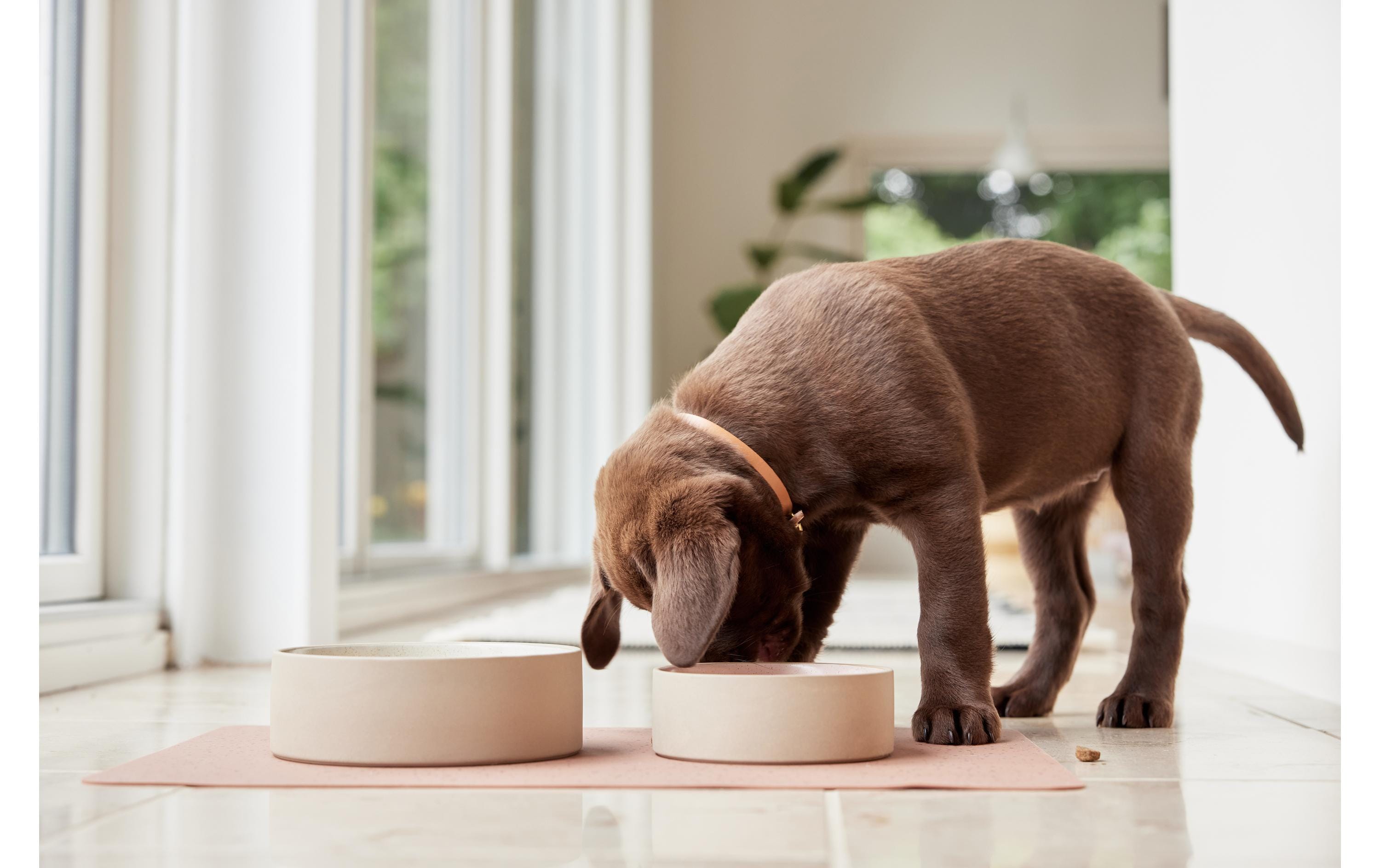 OYOY Keramiknapf Sia L, Ø 19.5 x H 6.5 cm, Choko