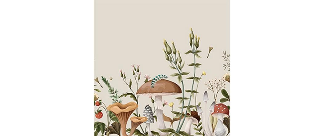 Braun + Company Moonbeam Beige, 20 Stück