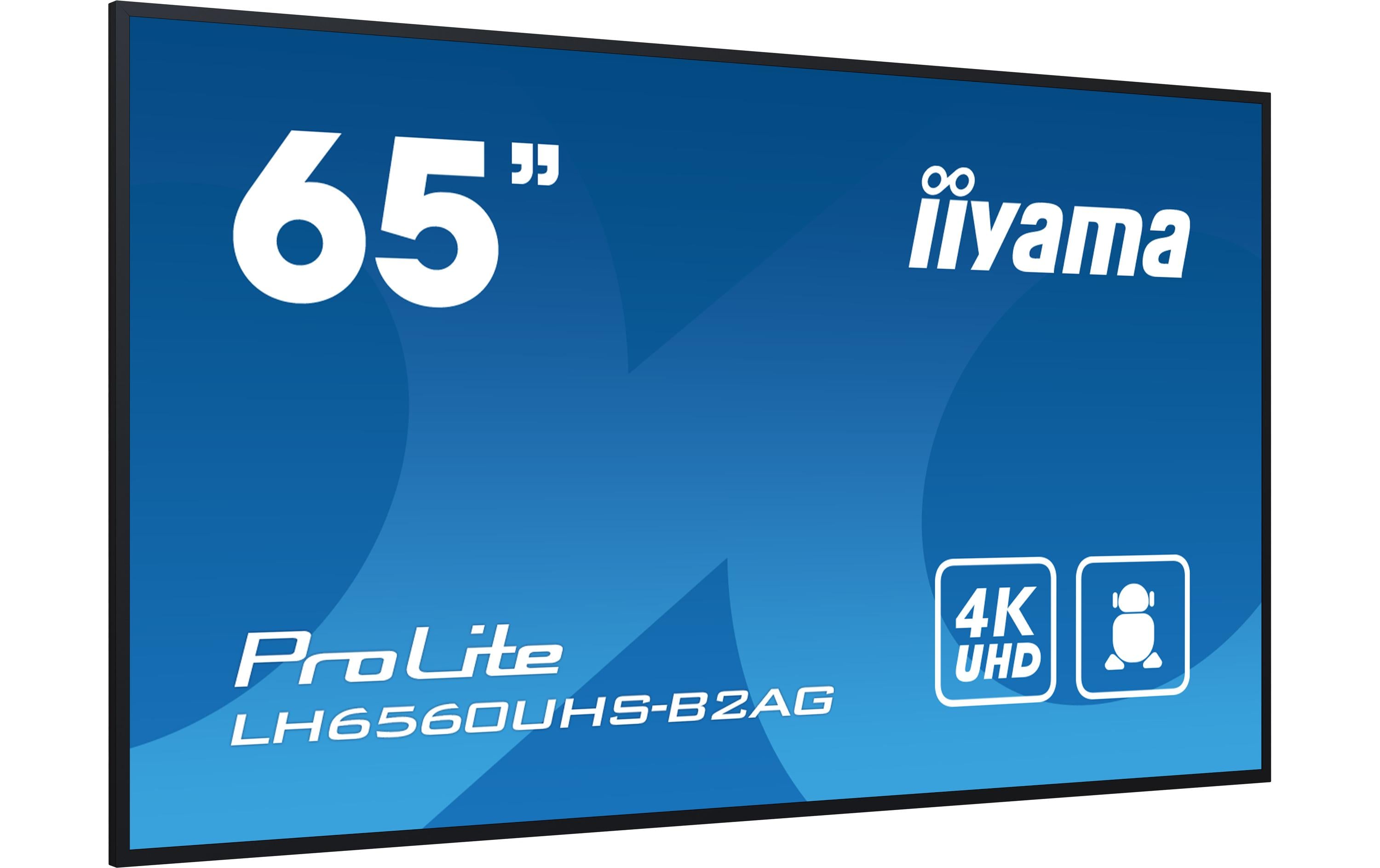 iiyama Public Display ProLite LH6560UHS-B2AG 65