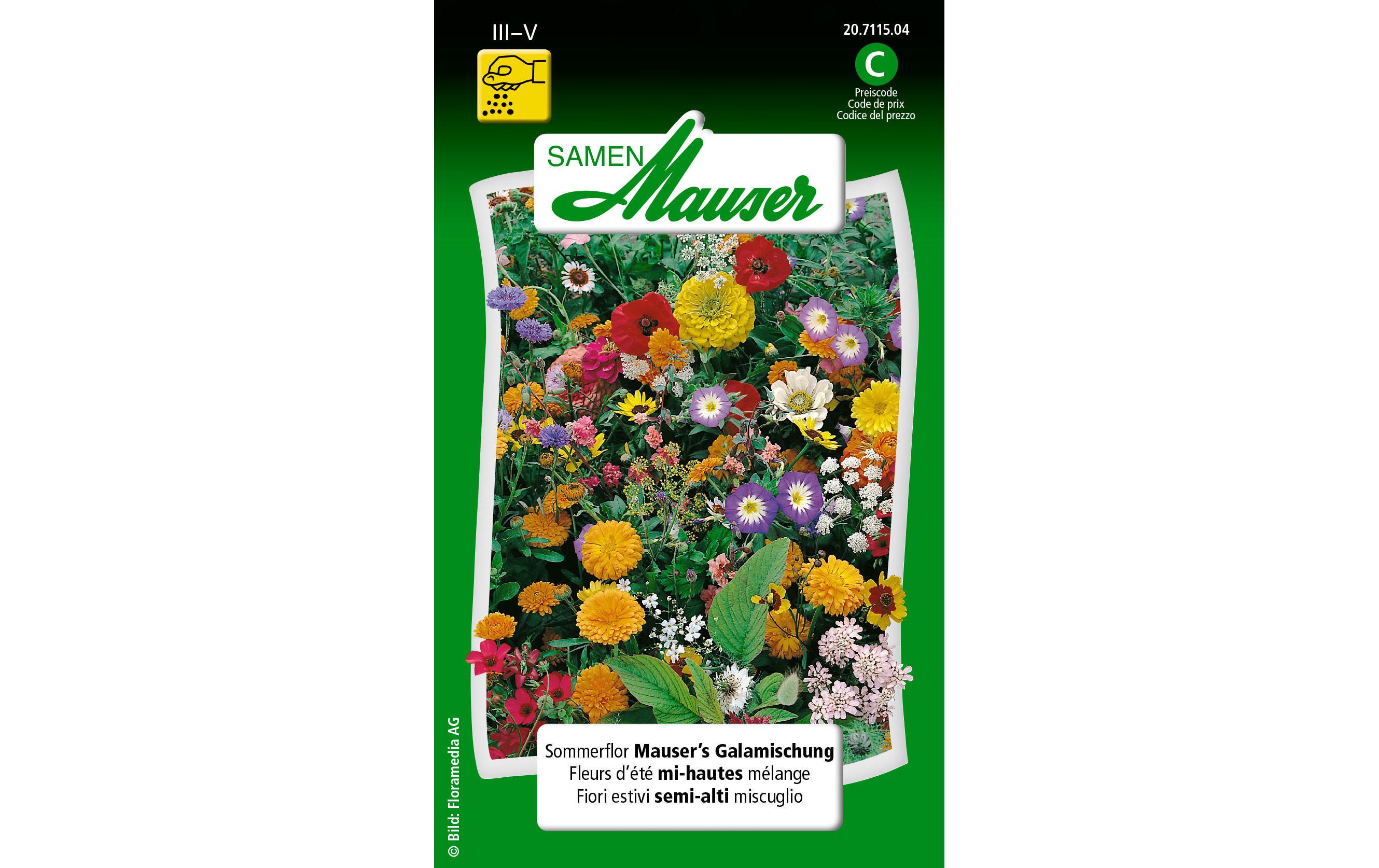 Samen Mauser Saatgut Sommerflor Mauser's Galamischung