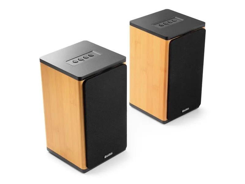 Audizio Regallautsprecher BS20-BM 50W, BT, Akku, bamboo Bambus