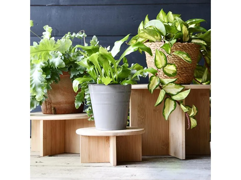 Esschert Design Pflanzenständer S Ø 18 cm, Nature Esschert Design Pflanzenständer S Ø 18 cm, Nature