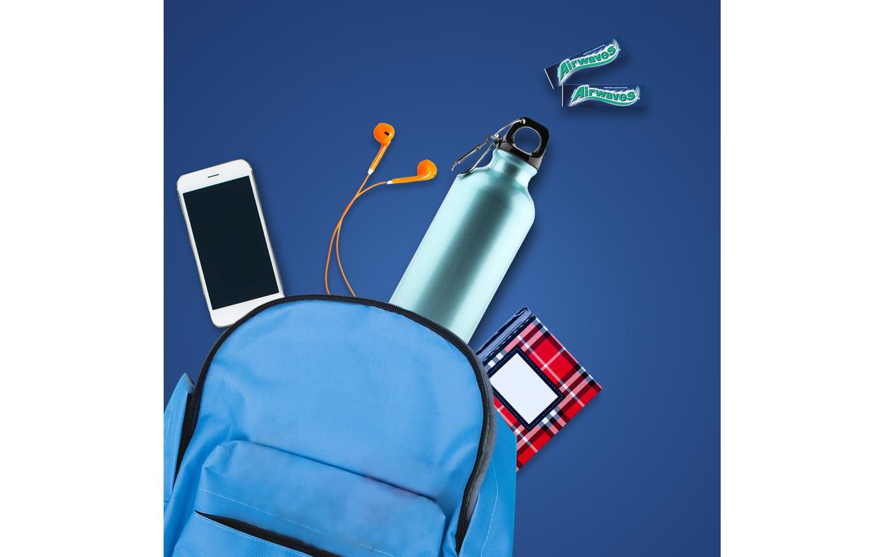 Airwaves Kaugummi Menthol und Eucalyptus 30 x 14 g Airwaves Kaugummi Menthol und Eucalyptus 30 x 14 g