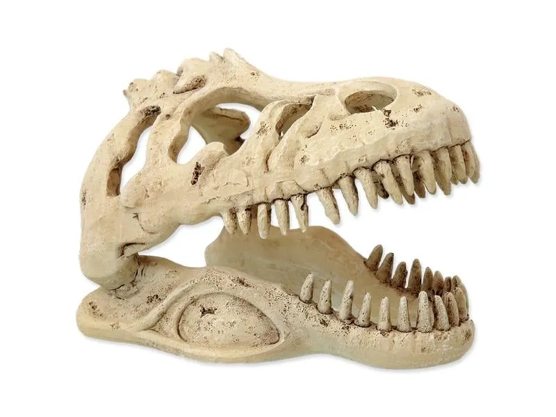 Repti Planet Dekoschädel T-Rex Repti Planet Dekoschädel T-Rex