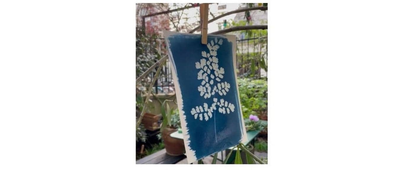 Clairefontaine Bastelset Cyanotype-Kit 10 Blatt