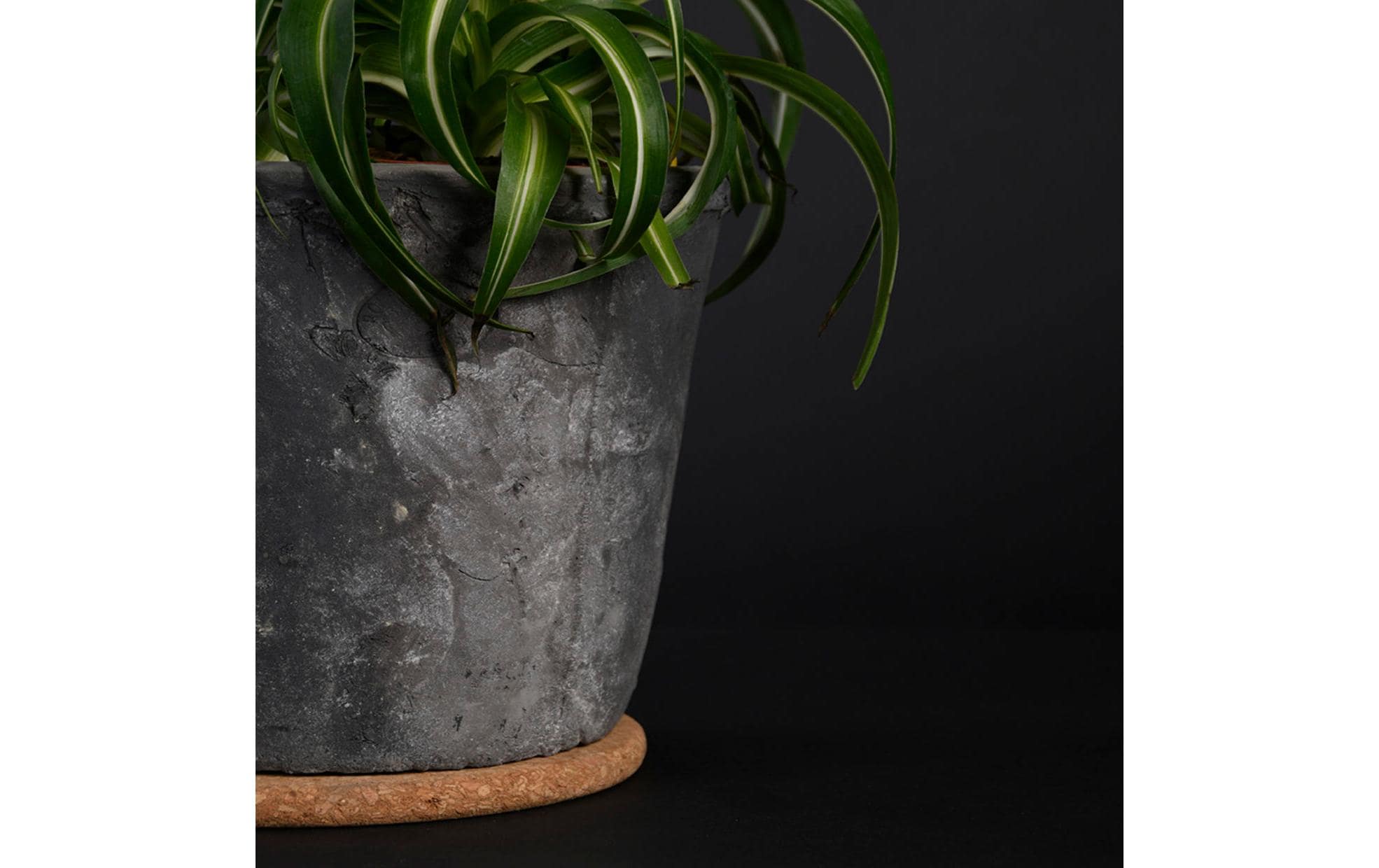 Esschert Design Topfuntersetzer S, 10 cm, Braun Esschert Design Topfuntersetzer S, 10 cm, Braun