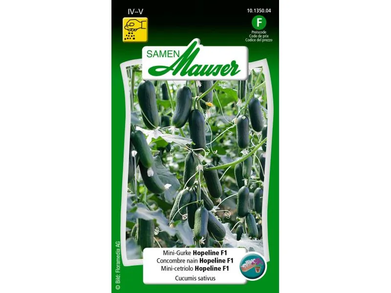 Samen Mauser Samen Urban Gardening Mini-Gurke Hopeline F1 Samen Mauser Samen Urban Gardening Mini-Gurke Hopeline F1