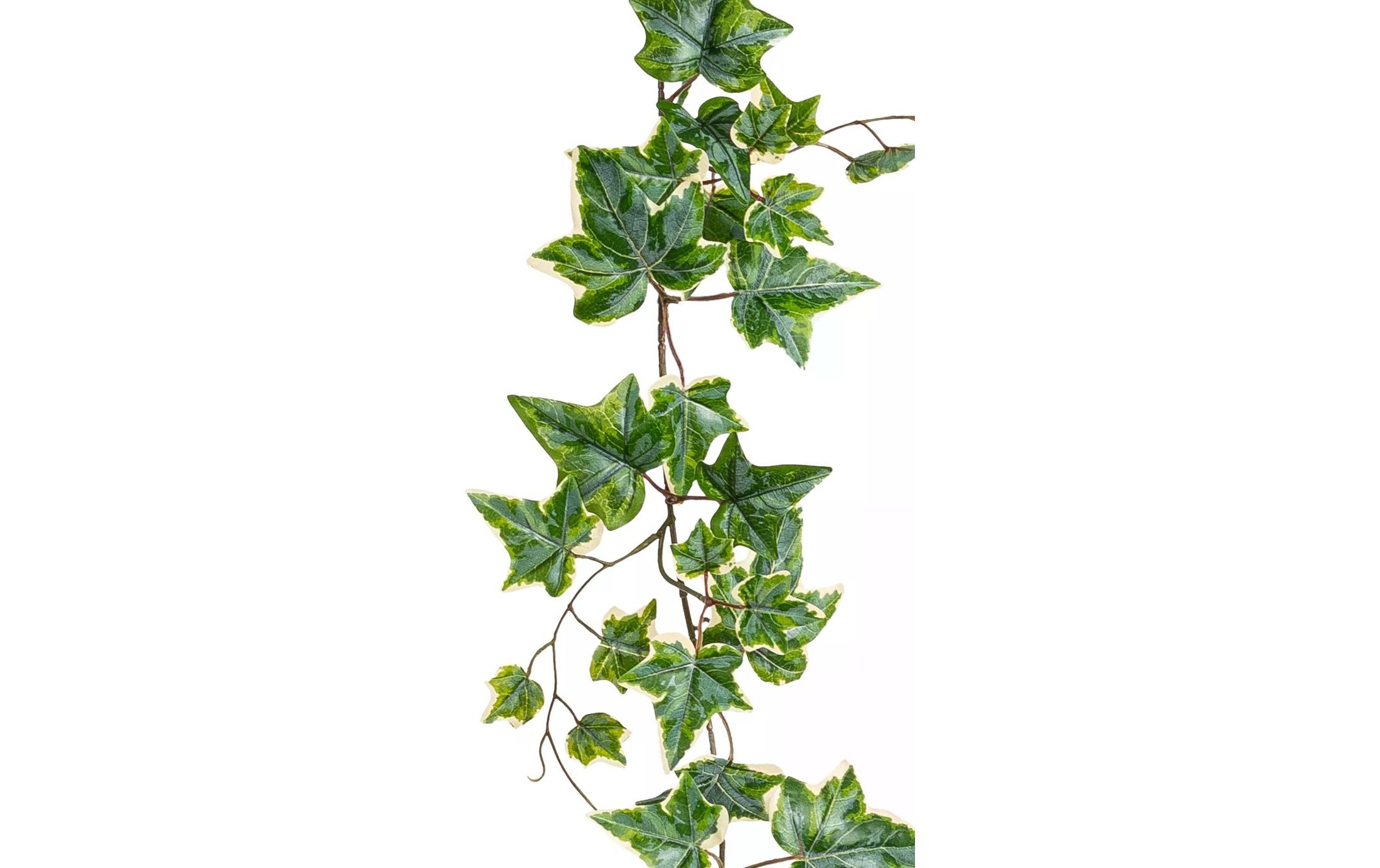 Botanic-Haus Kunstpflanze Efeugirlande 150 cm