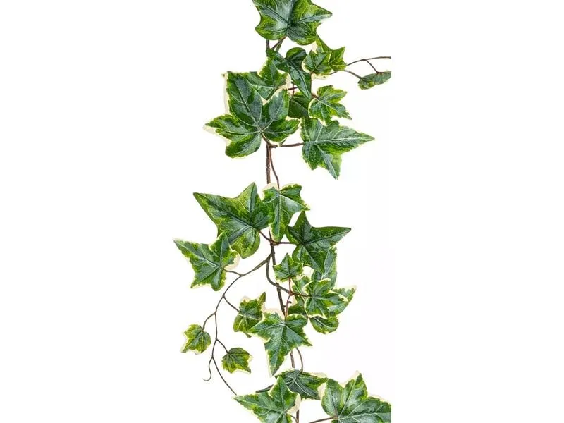 Botanic-Haus Kunstpflanze Efeugirlande 150 cm Botanic-Haus Kunstpflanze Efeugirlande 150 cm