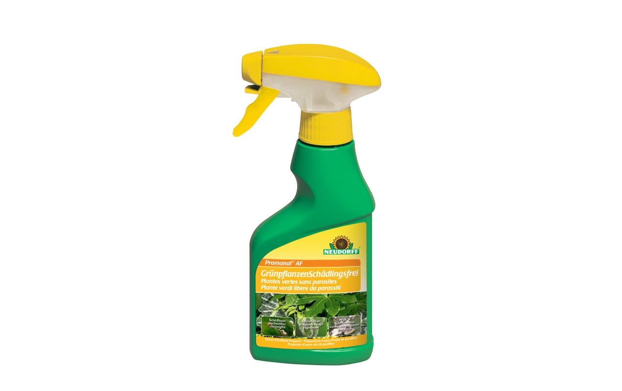 Neudorff Sprühmittel Grünpflanzen Schädlingsfrei Promanal AF, 250 ml Neudorff Sprühmittel Grünpflanzen Schädlingsfrei Promanal AF, 250 ml