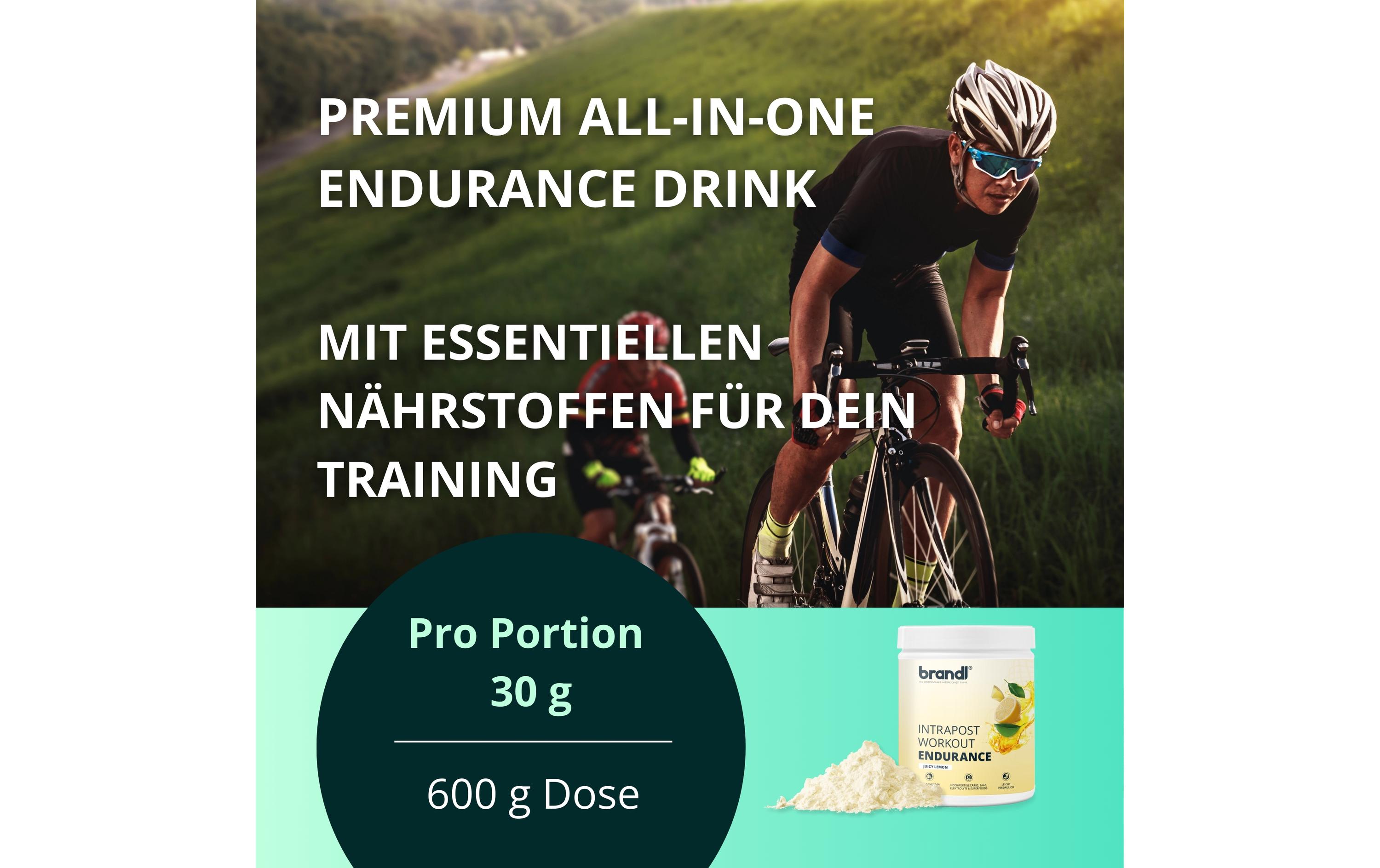 Brandl-Nutrition Ausdauer-Drink Isotonisches Getränk Zitrone, 600 g