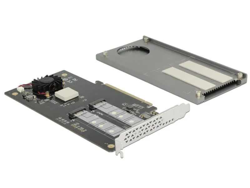 Delock Host Bus Adapter 2x NVME M.2 SSDs, PCI-Ex16, bootfähig
