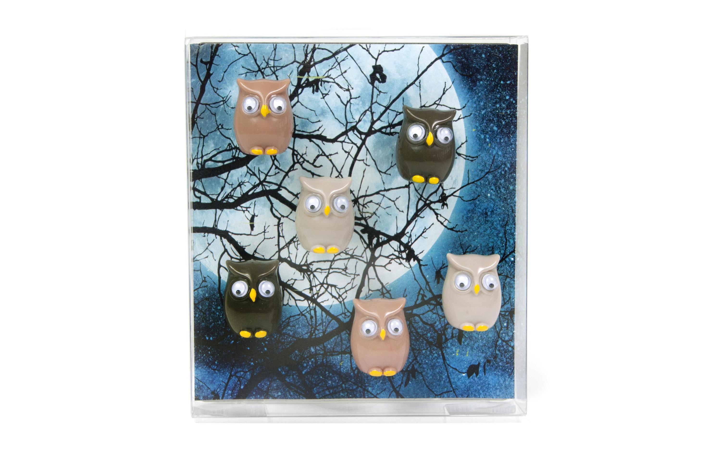 Trendform Haftmagnet Owl Mehrfarbig, 6 Stück