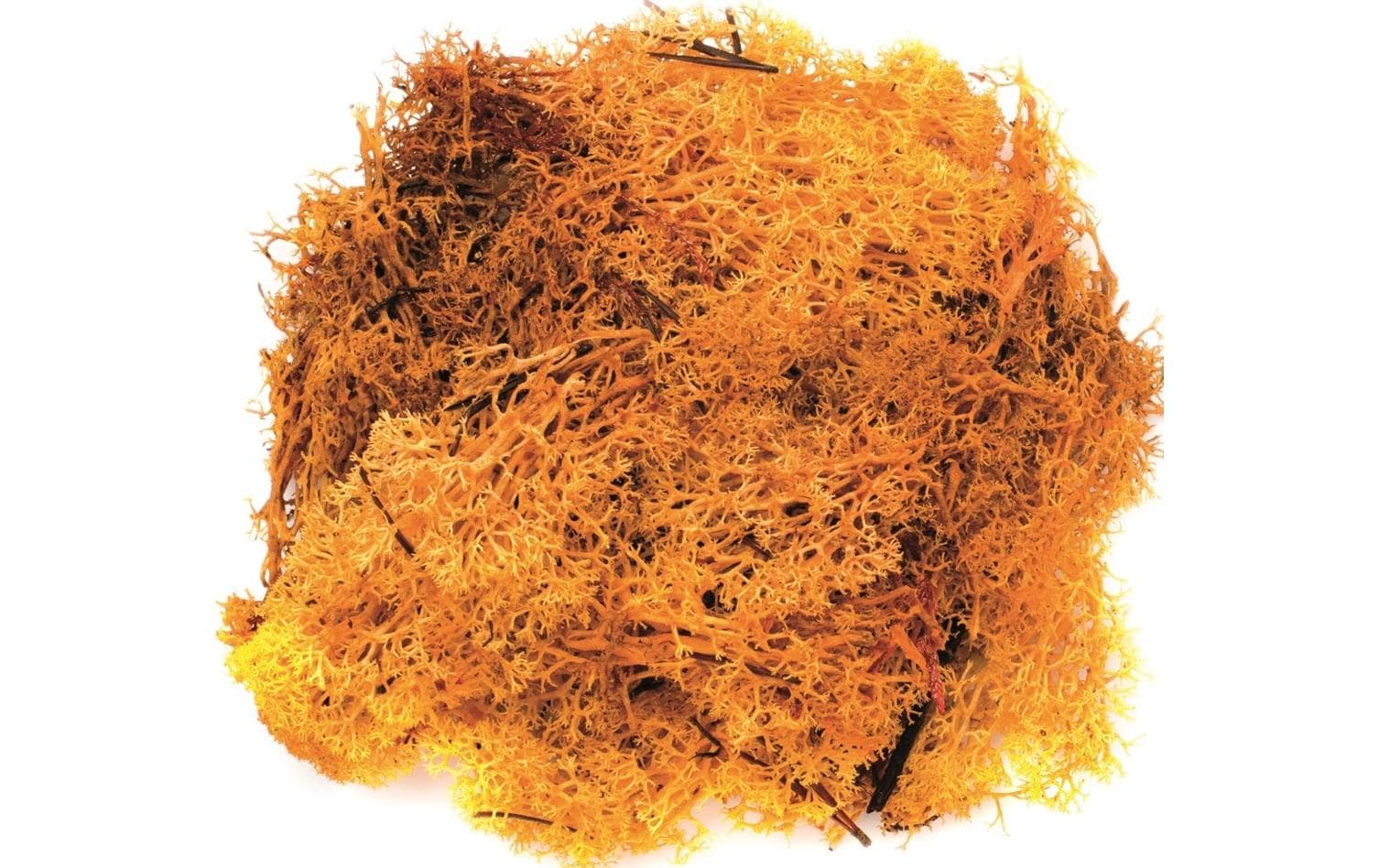 Glorex Moos Island Orange Glorex Moos Island Orange