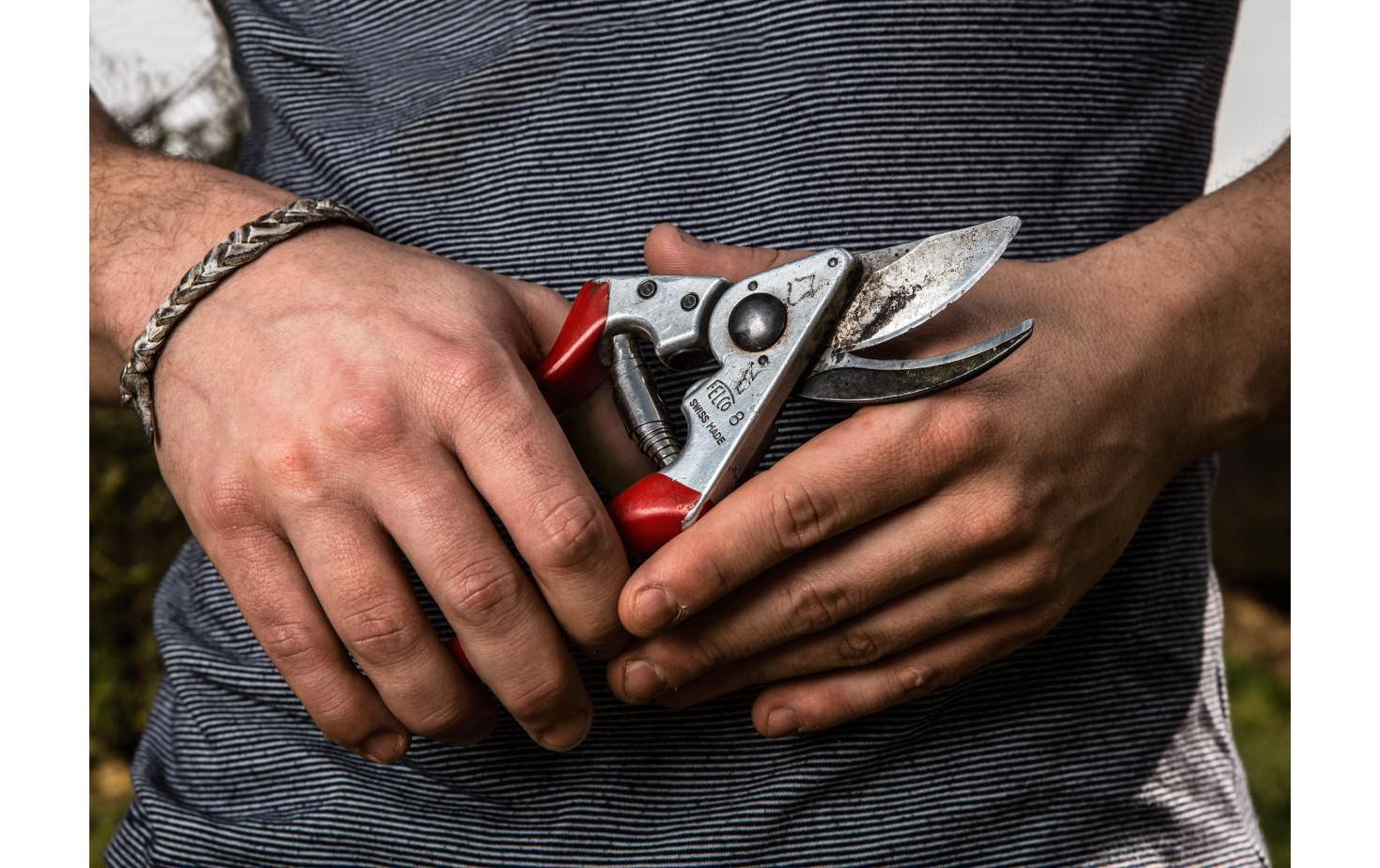 Felco Gartenschere 8