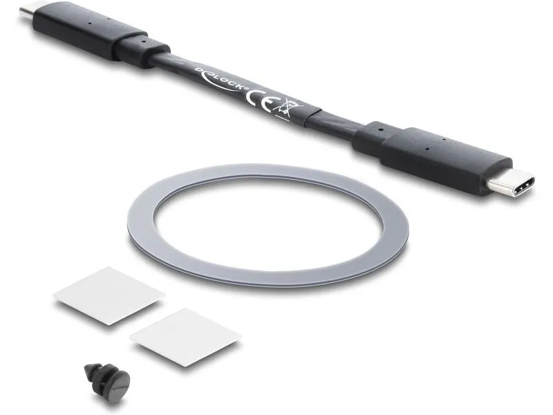 Delock Magnetisches Gehäuse USB-C 10 Gbps M.2 NVMe SATA SSD