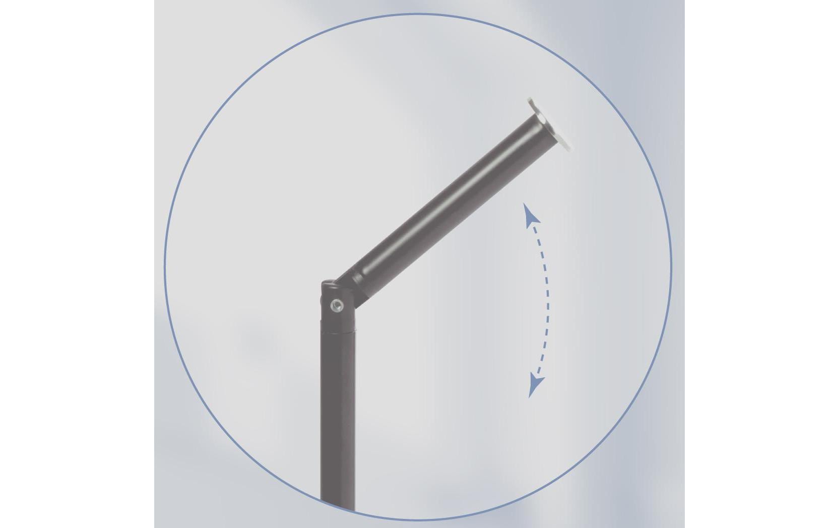 spirella Toilettenpapierhalter Chic Schwarz